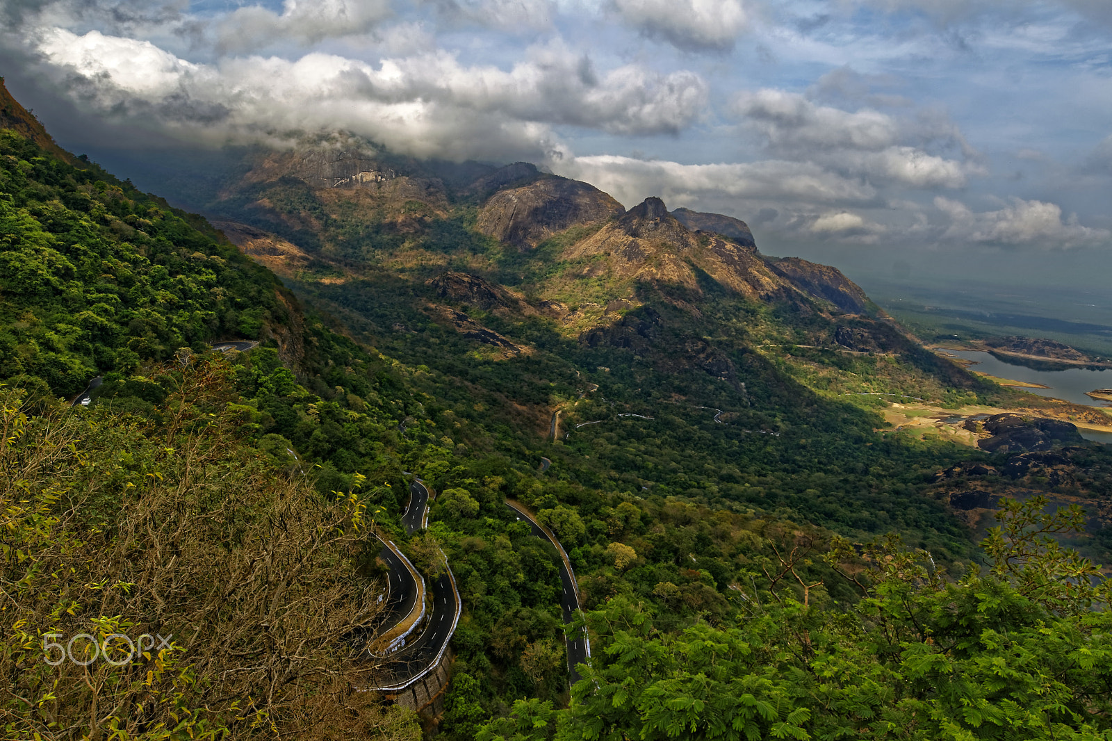 Nikon AF-S Nikkor 14-24mm F2.8G ED sample photo. On the way to valparai... photography