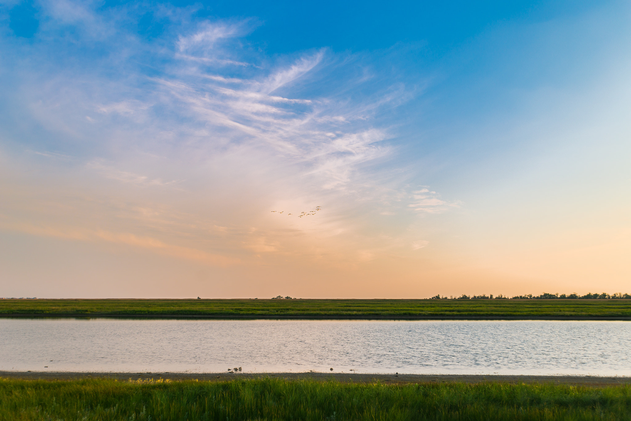 Canon EOS 6D sample photo. Water, green field and birds photography