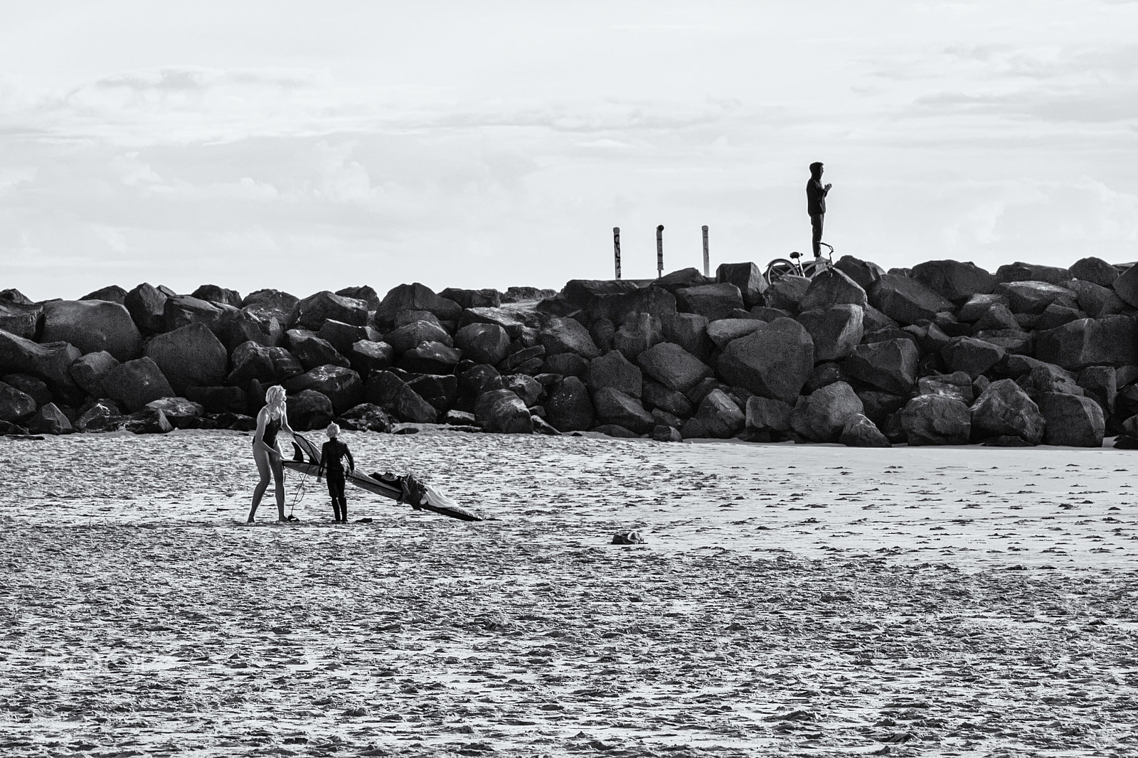 Sigma 105mm F2.8 EX DG OS HSM sample photo. Sun worshippers photography