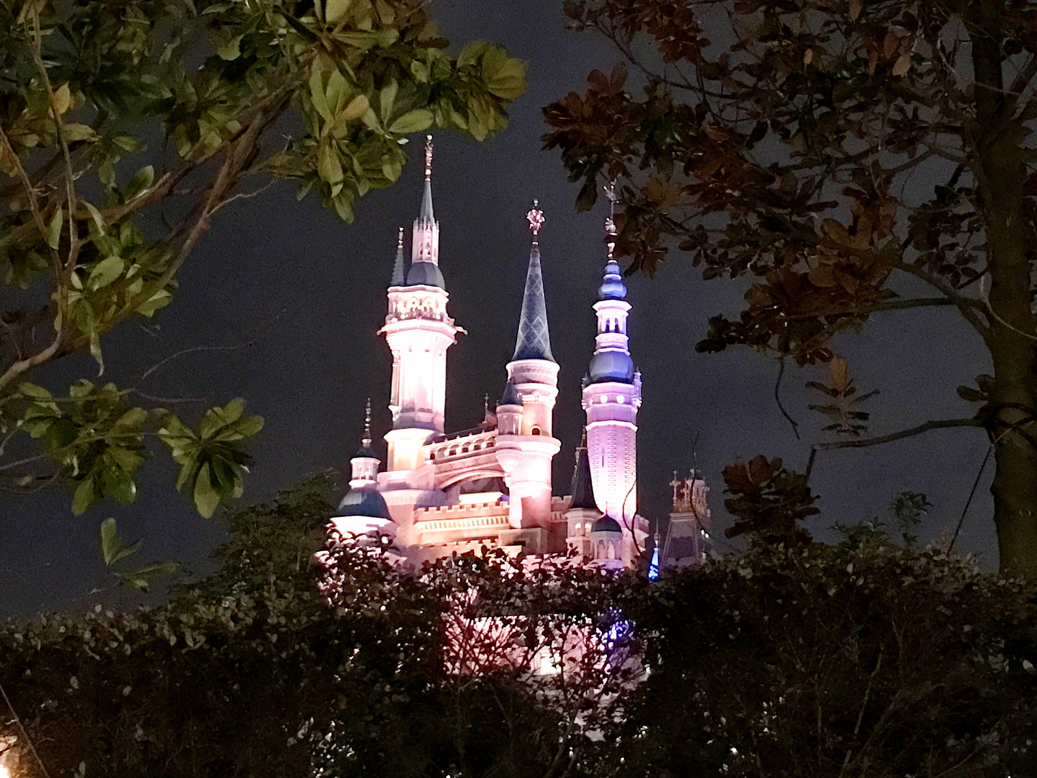 Apple iPhone9,1 sample photo. Disney castle at night 迪士尼城堡夜景 photography