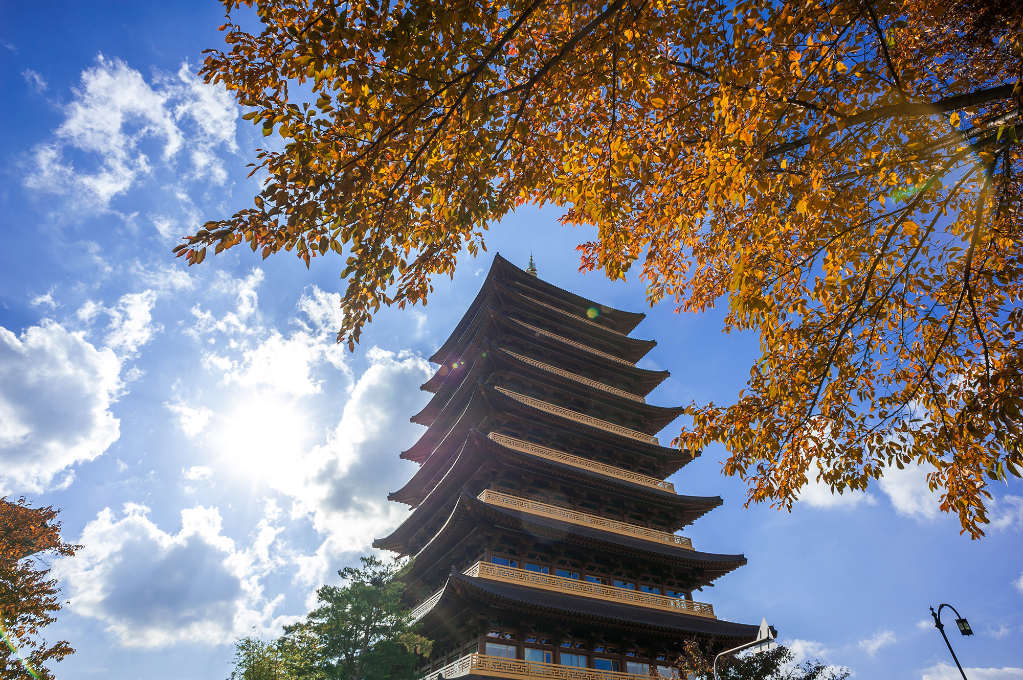 Nikon D700 + Nikon AF Nikkor 20mm F2.8D sample photo. Fall photography