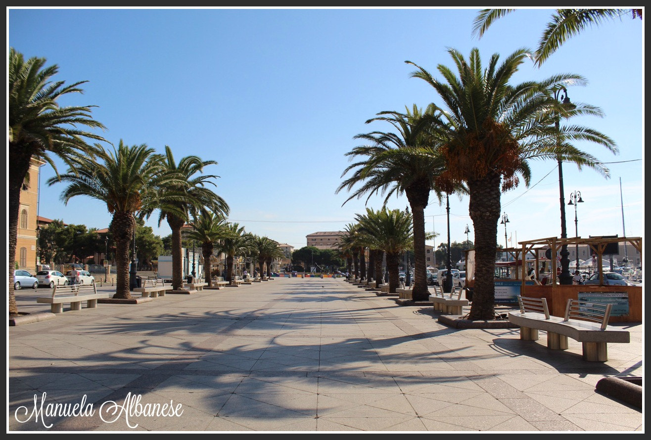 Canon EF-S 18-55mm F3.5-5.6 IS II sample photo. Maddalena photography