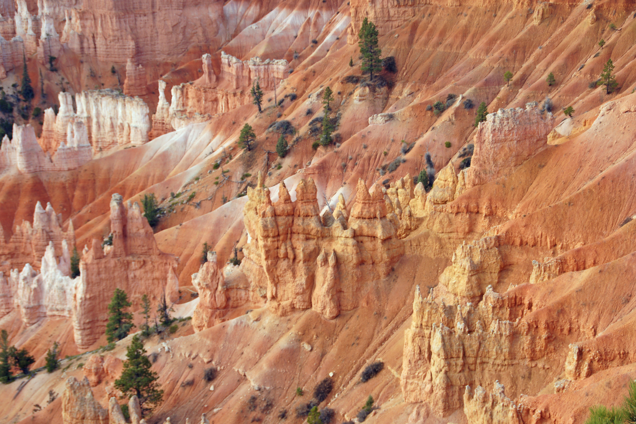 Sony Alpha DSLR-A700 sample photo. Bryce formations photography