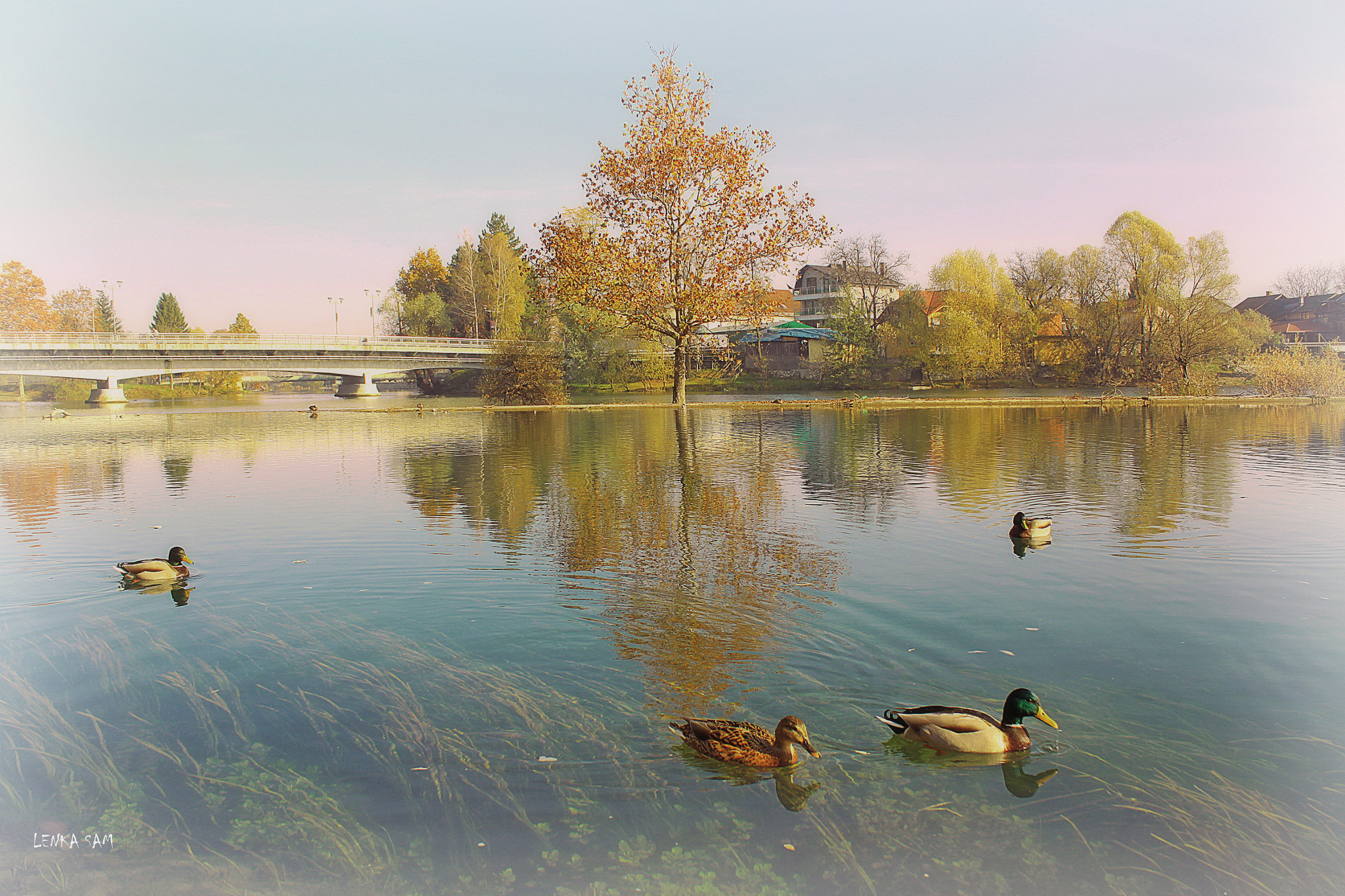 Canon EOS 500D (EOS Rebel T1i / EOS Kiss X3) sample photo. Autumn river photography