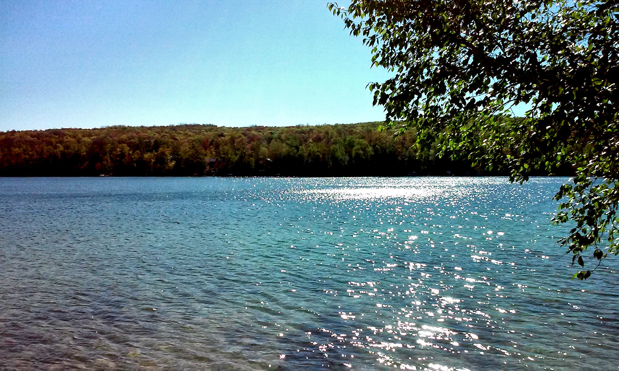 LG L70 sample photo. Start to summer photography