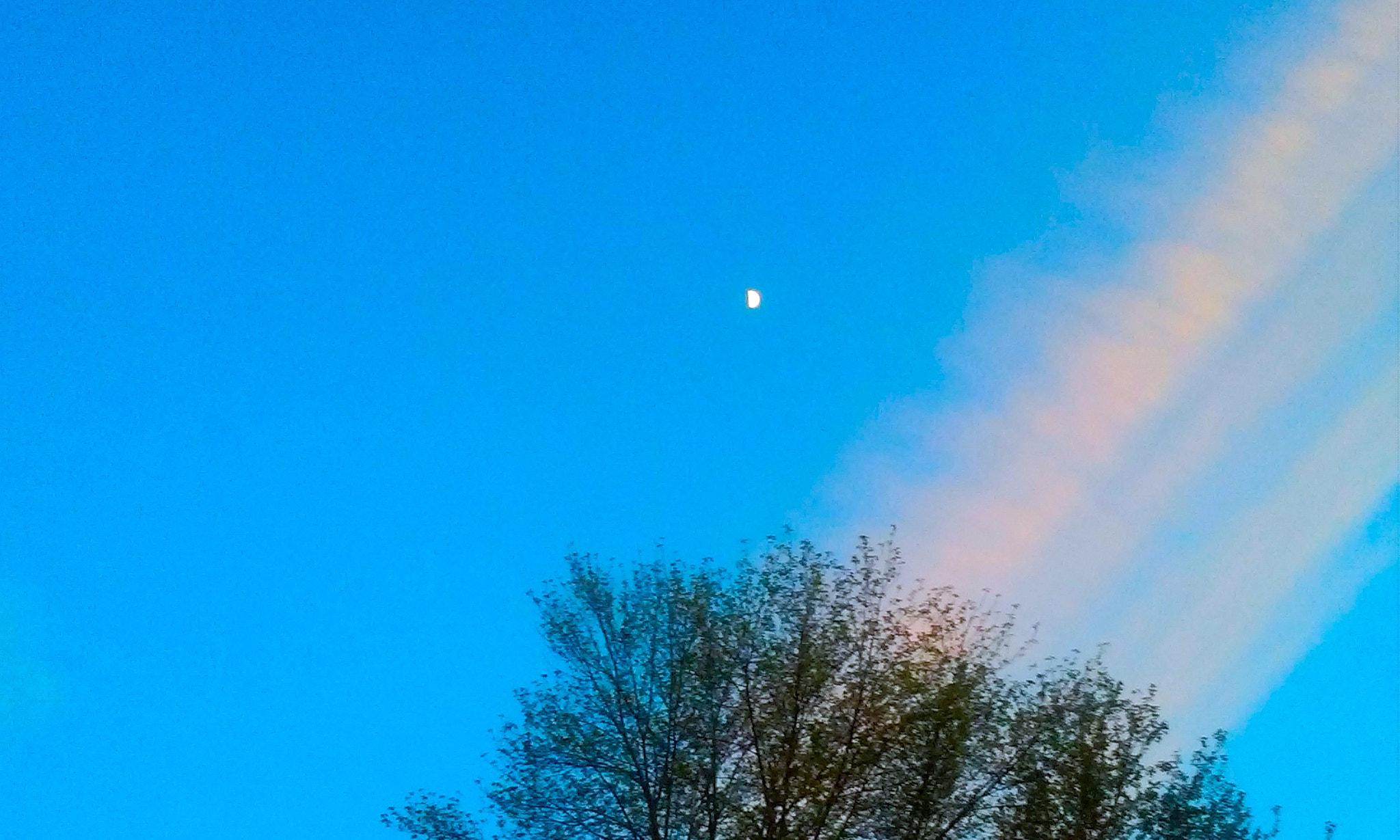 LG L70 sample photo