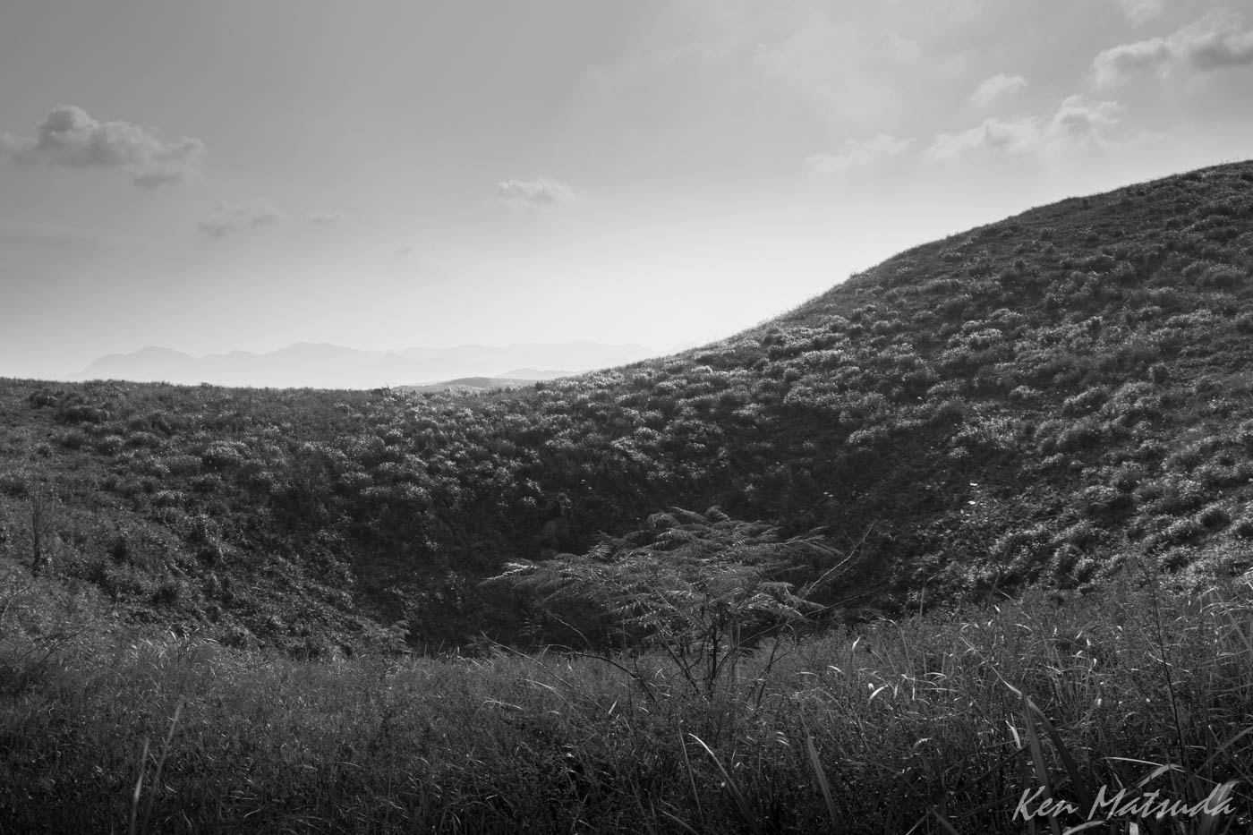 Canon EF 24mm F1.4L II USM sample photo. Akiyoshidai photography