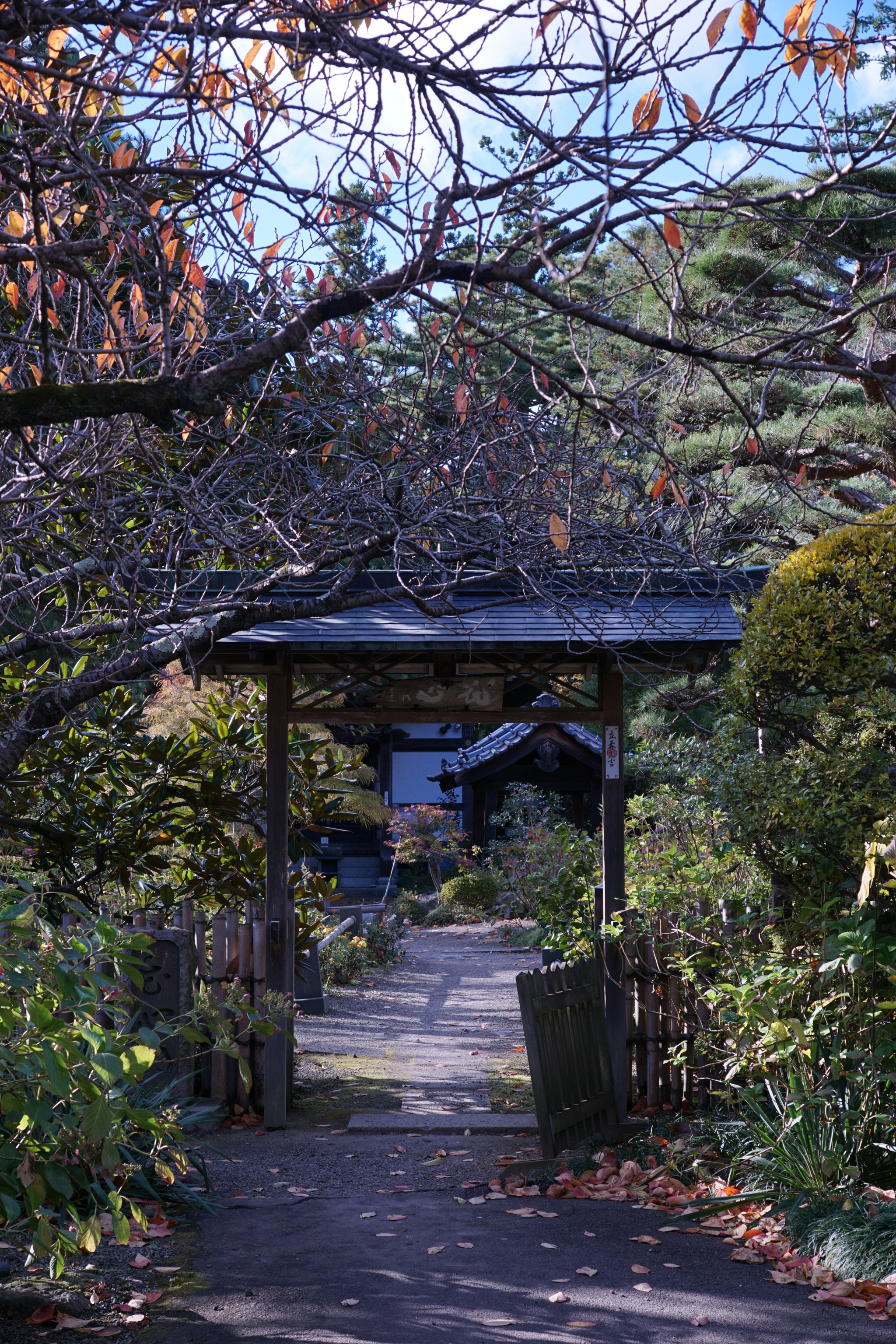 Sony ILCA-77M2 sample photo. Sihukuji -資福寺- photography