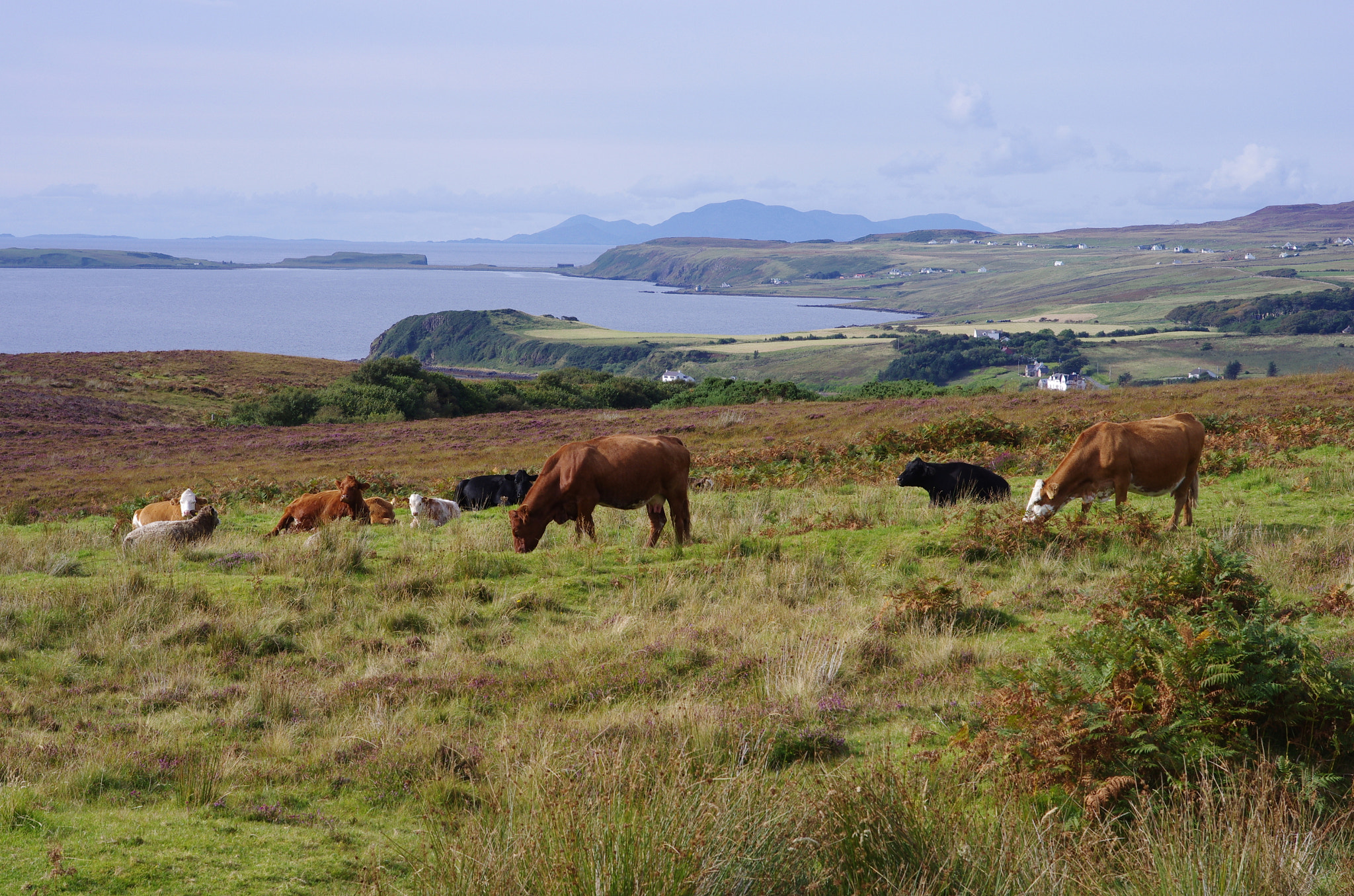 Pentax K-5 sample photo. Scotland photography