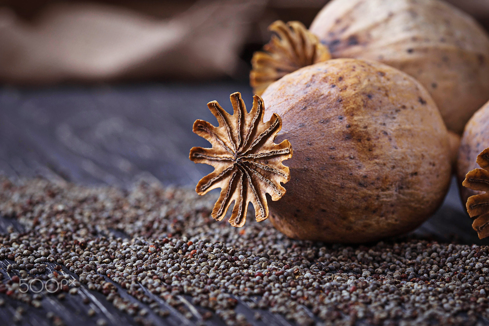 Nikon D3100 + Sigma 105mm F2.8 EX DG OS HSM sample photo. Poppy seeds and heads on wooden background photography