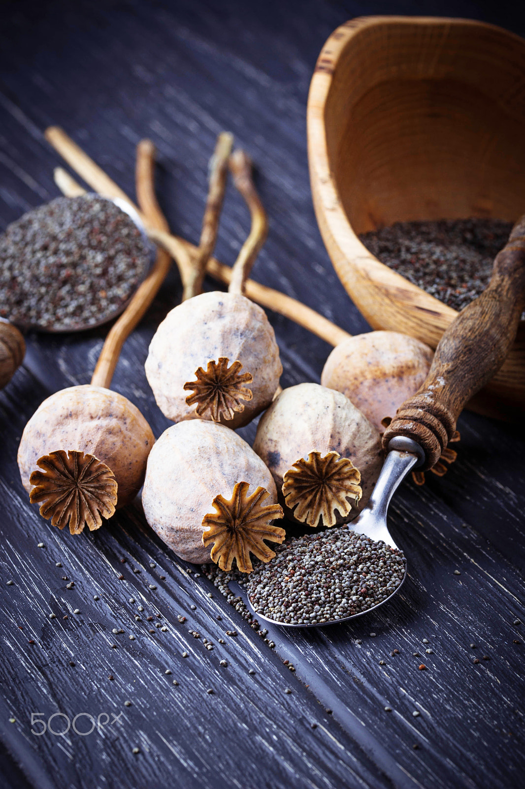 Sigma 105mm F2.8 EX DG OS HSM sample photo. Poppy seeds and heads on wooden background photography