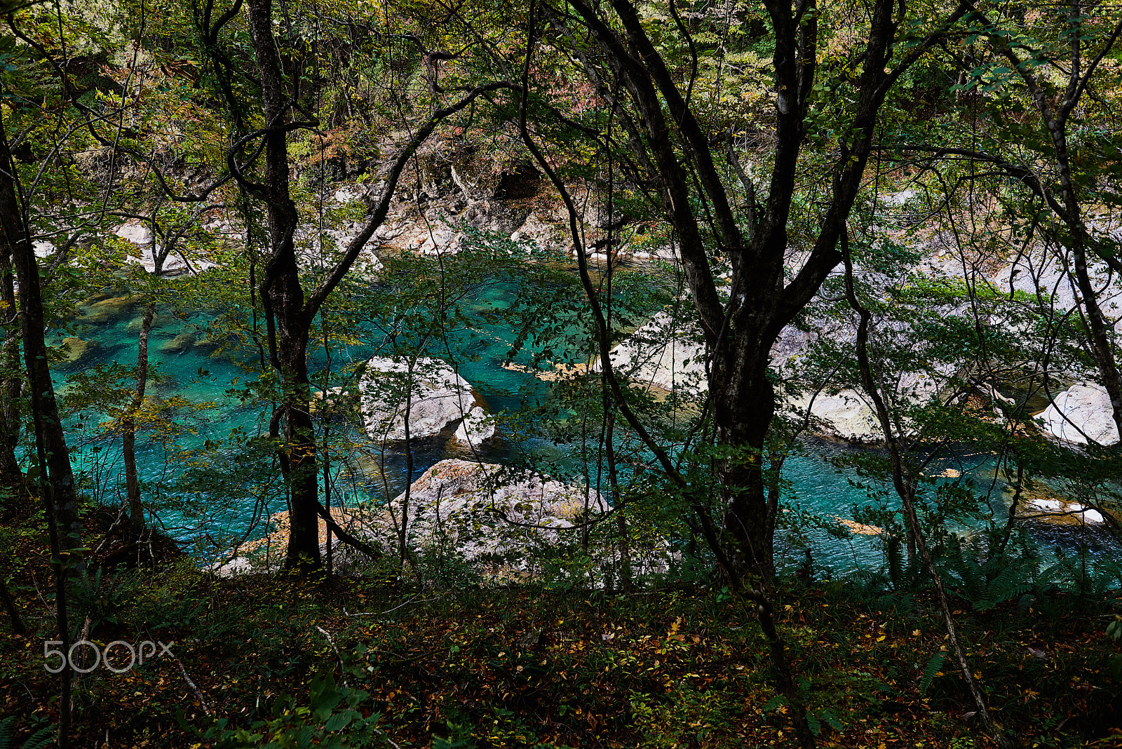 Nikon AF-S Nikkor 24-70mm F2.8G ED sample photo. Blue river photography