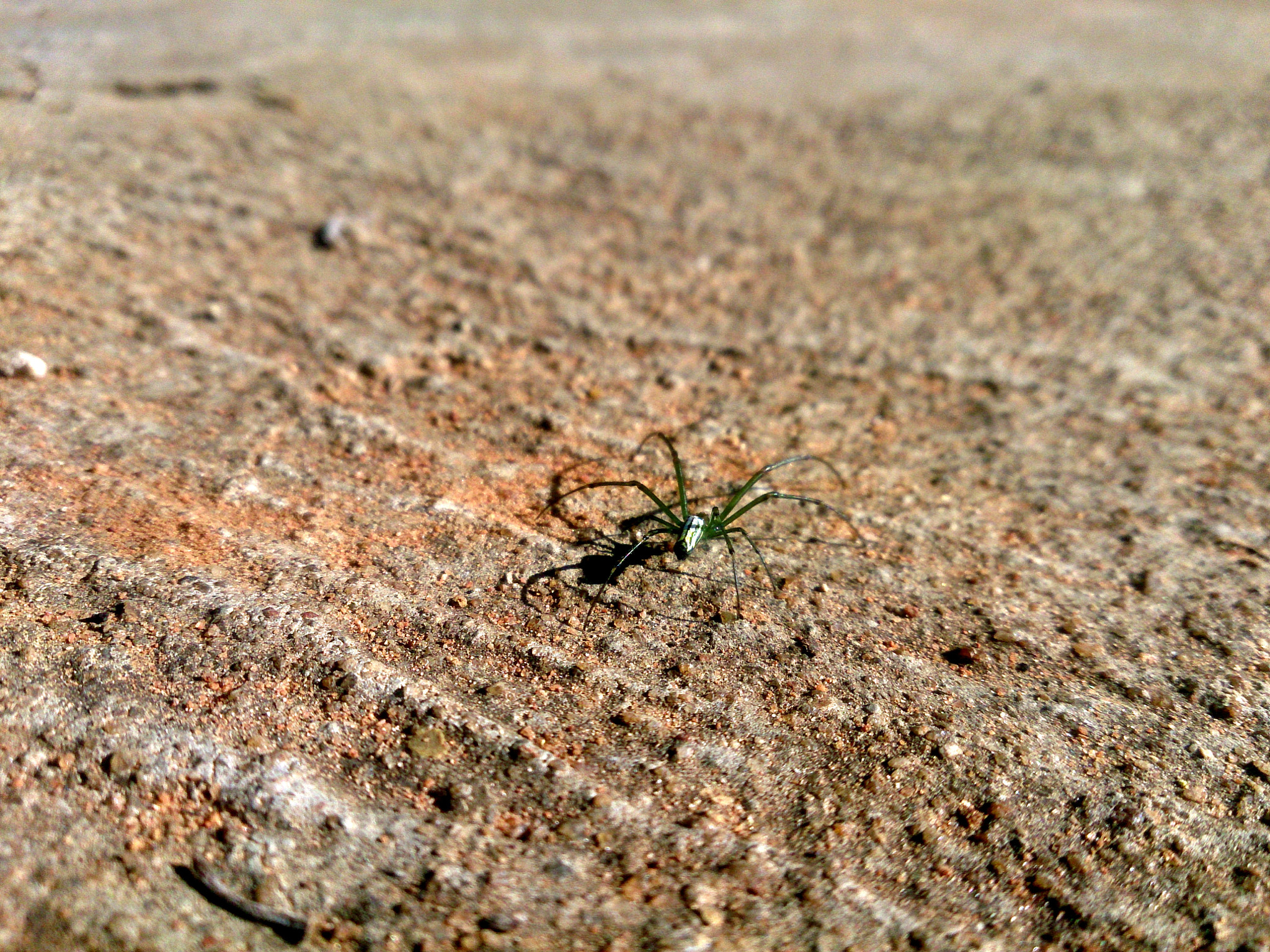 Sony Xperia ZR sample photo