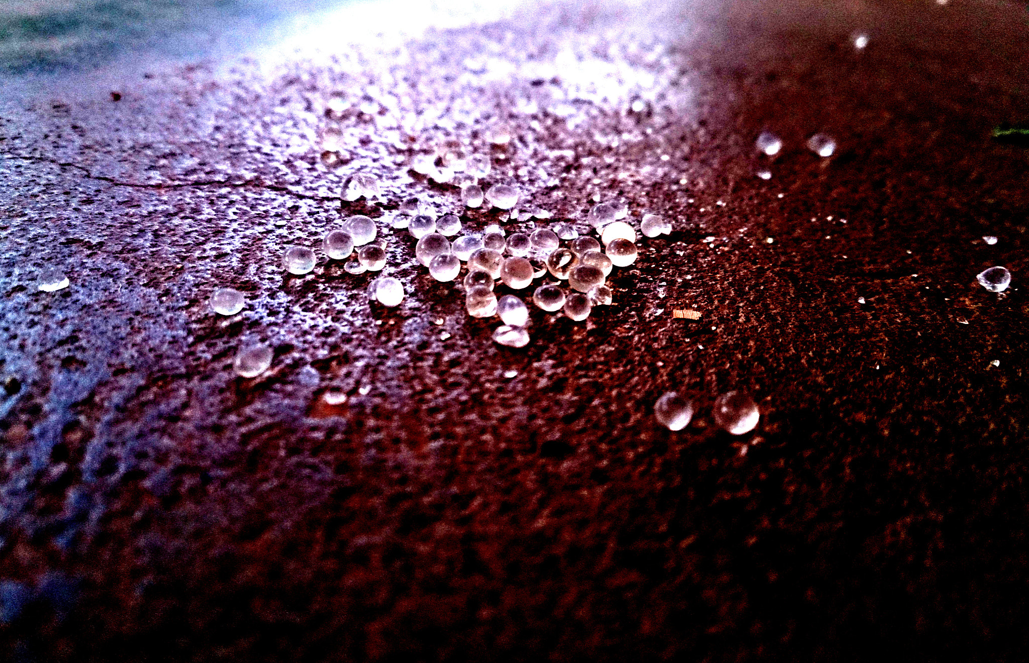 Sony Xperia ZR sample photo