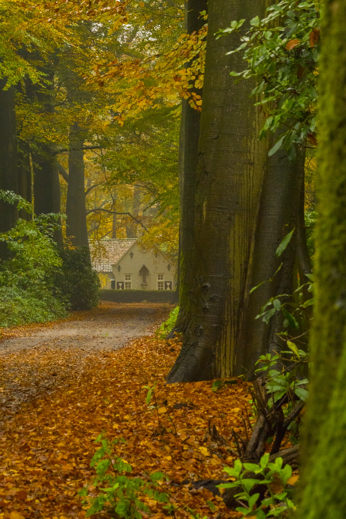 Sony ILCA-77M2 sample photo. Road & autumn photography