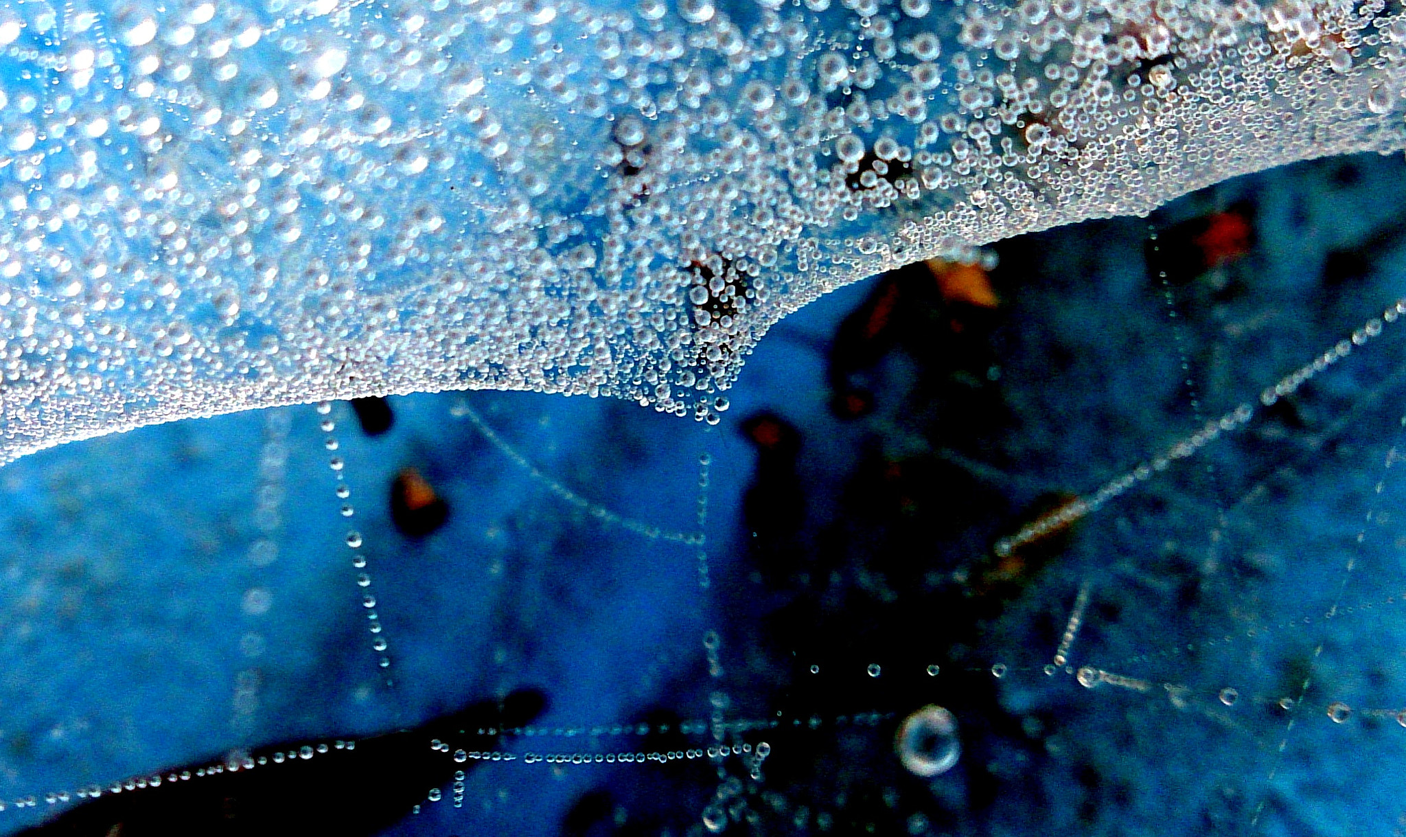 Sony Xperia ZR sample photo. A winter morning photography