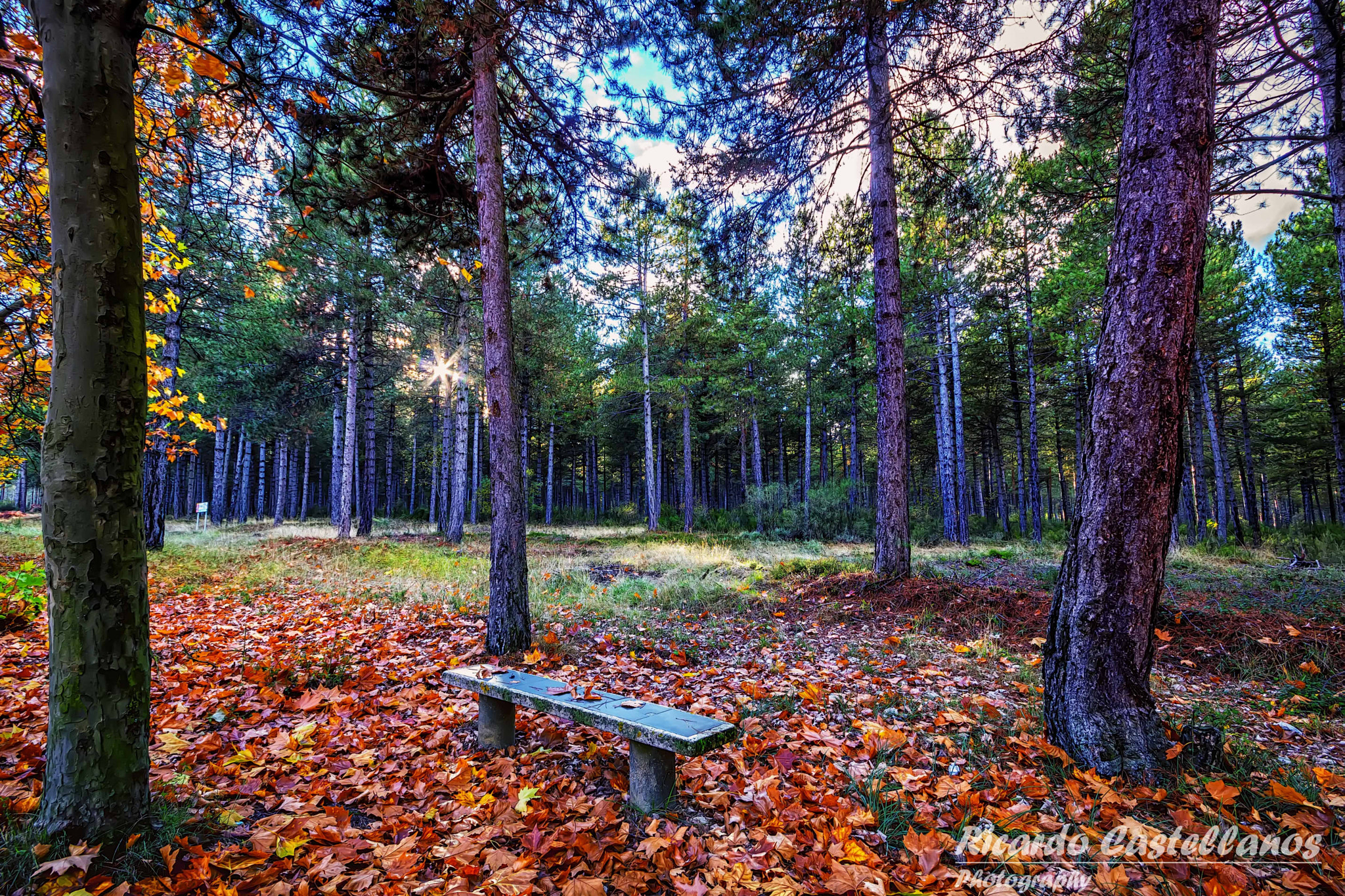 Sigma AF 10-20mm F4-5.6 EX DC sample photo. Mis paisajes en león... photography