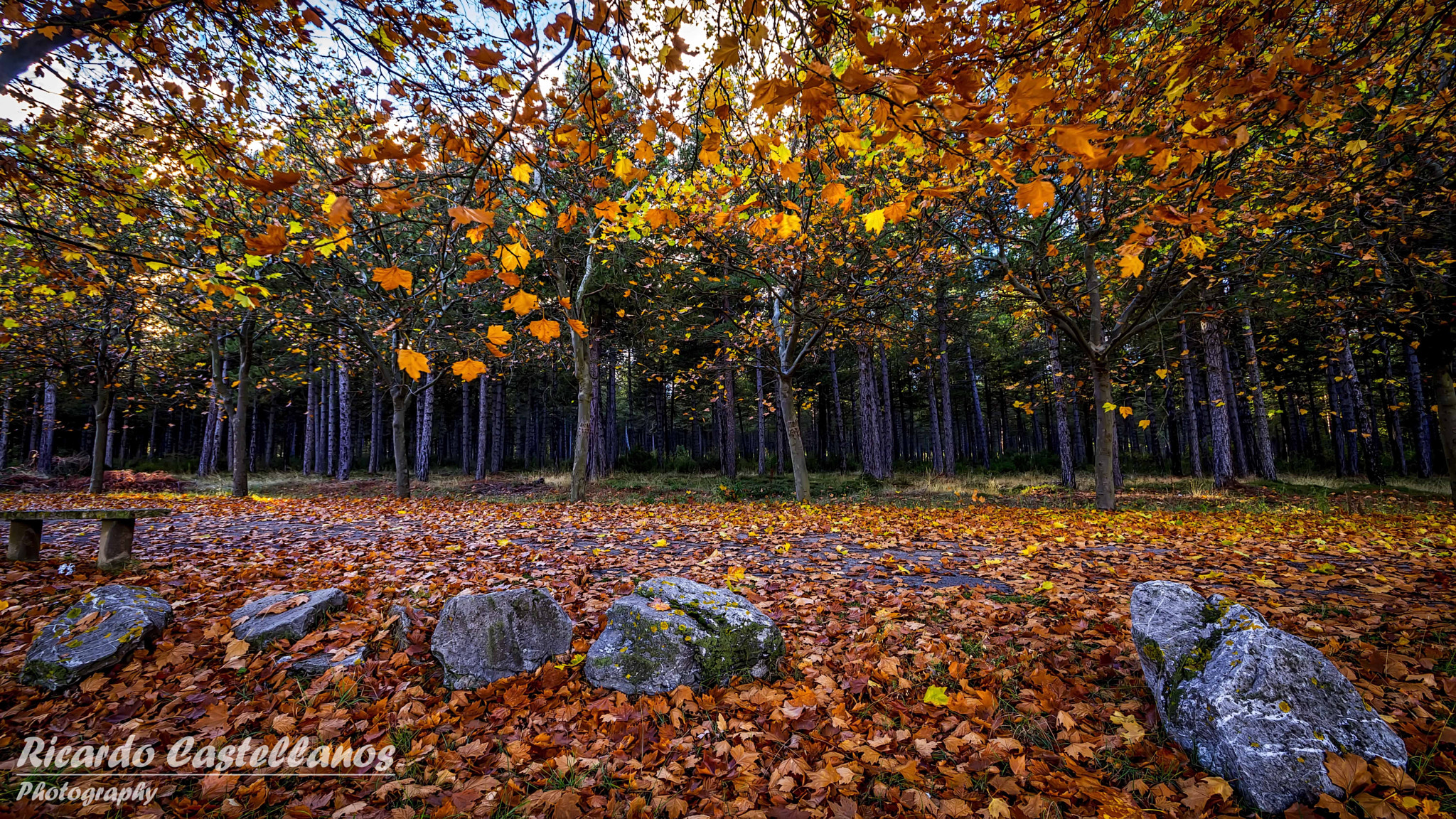 Sigma AF 10-20mm F4-5.6 EX DC sample photo. Mis paisajes en león... photography