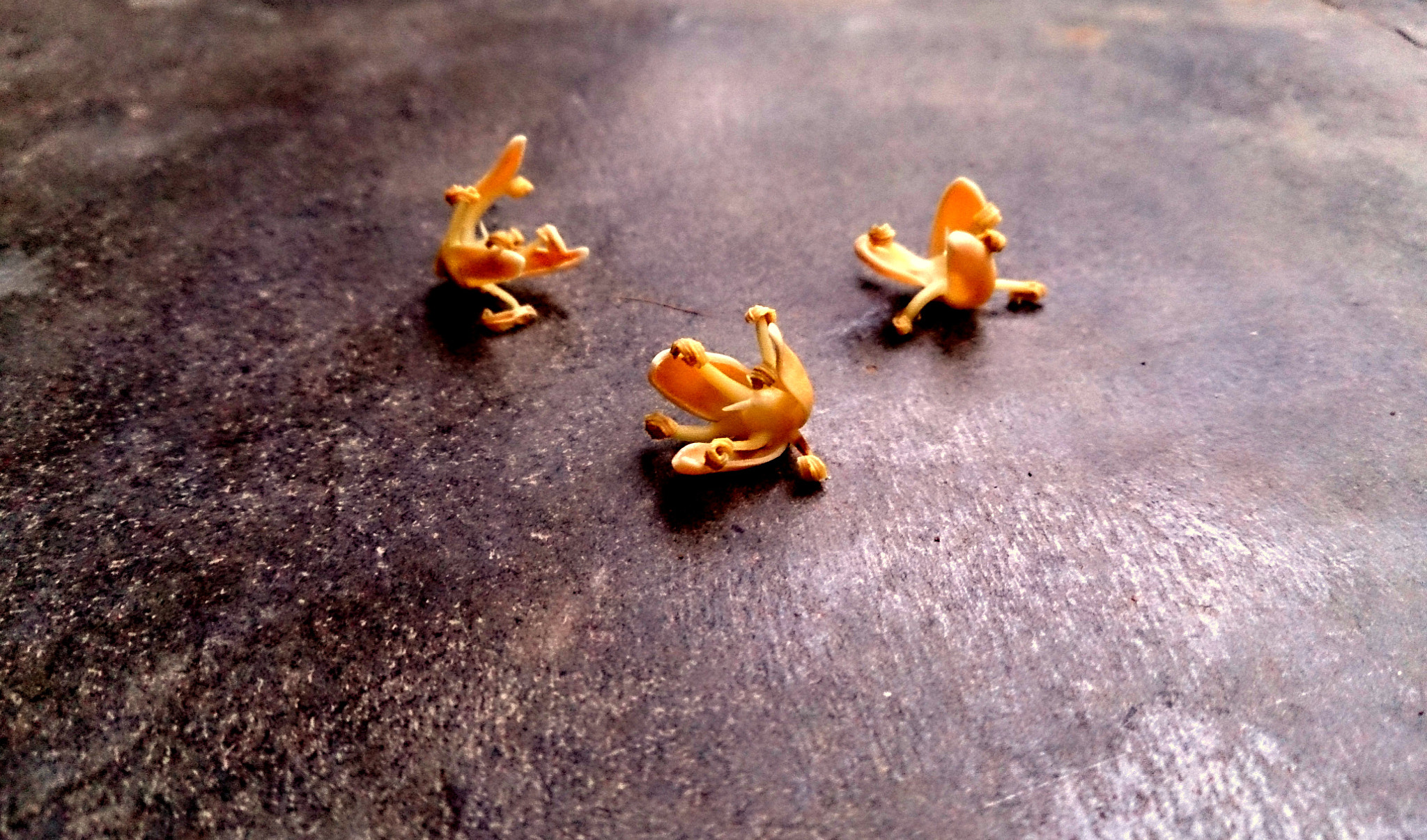Sony Xperia ZR sample photo