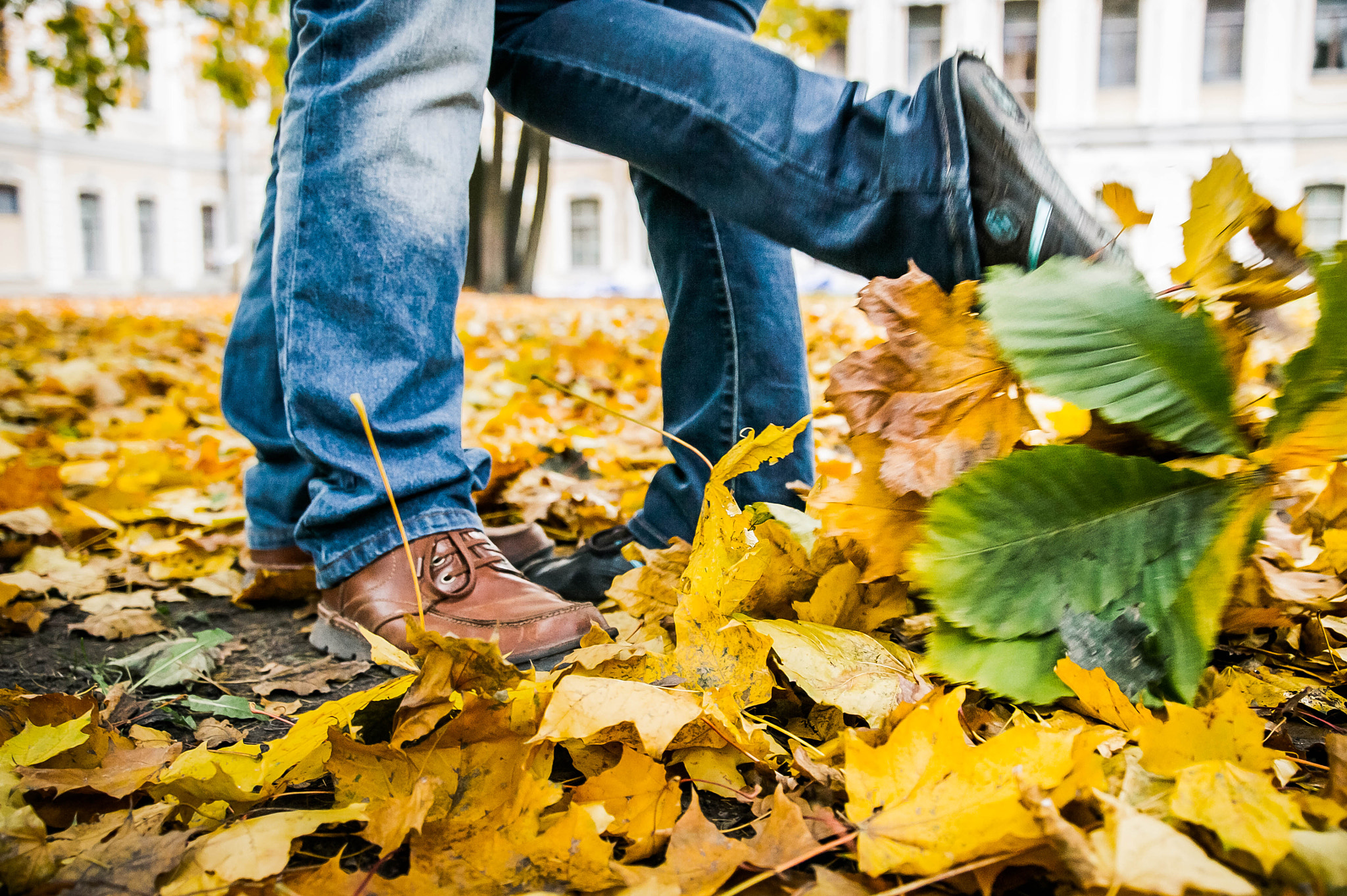 Sony DT 16-50mm F2.8 SSM sample photo. Autumn kiss photography