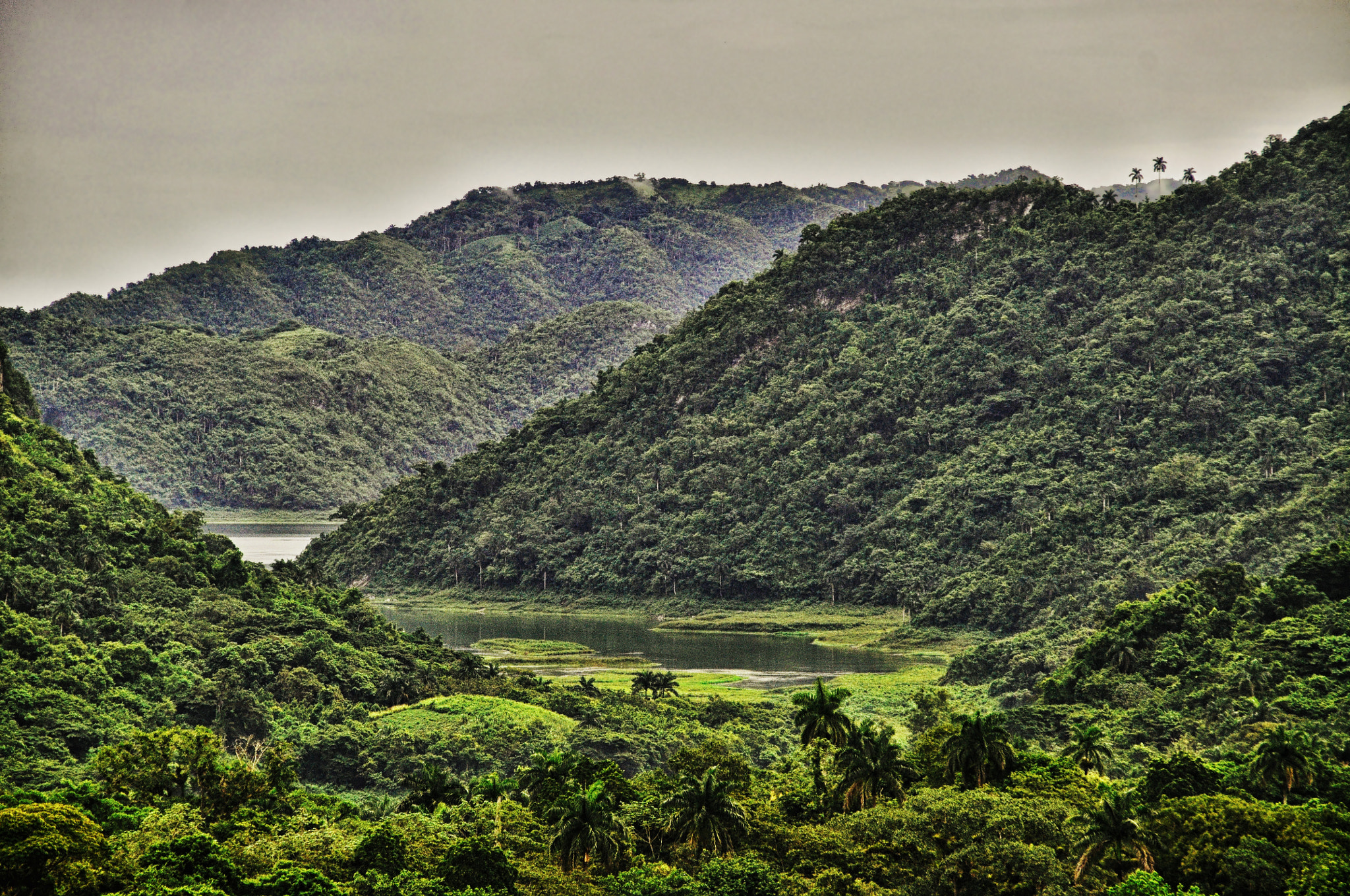 Nikon D5000 + Sigma 18-200mm F3.5-6.3 II DC OS HSM sample photo. Rain forest photography