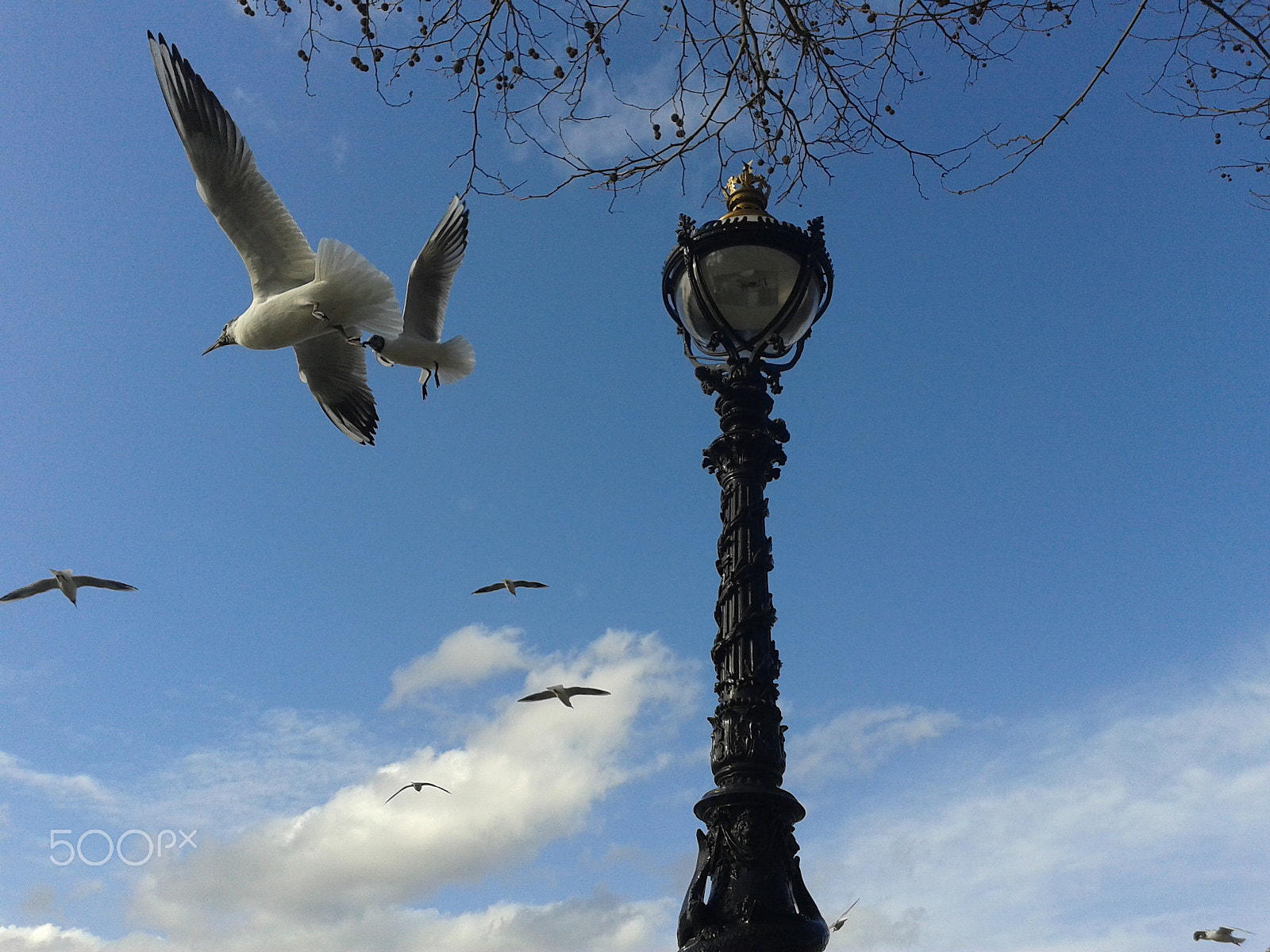 Samsung Galaxy S Advance sample photo. London. photography