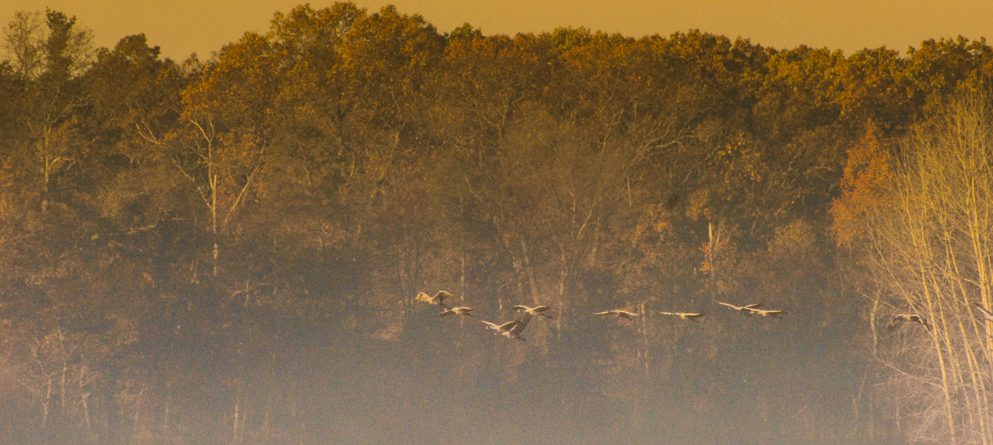 Nikon D200 sample photo. Traversing photography