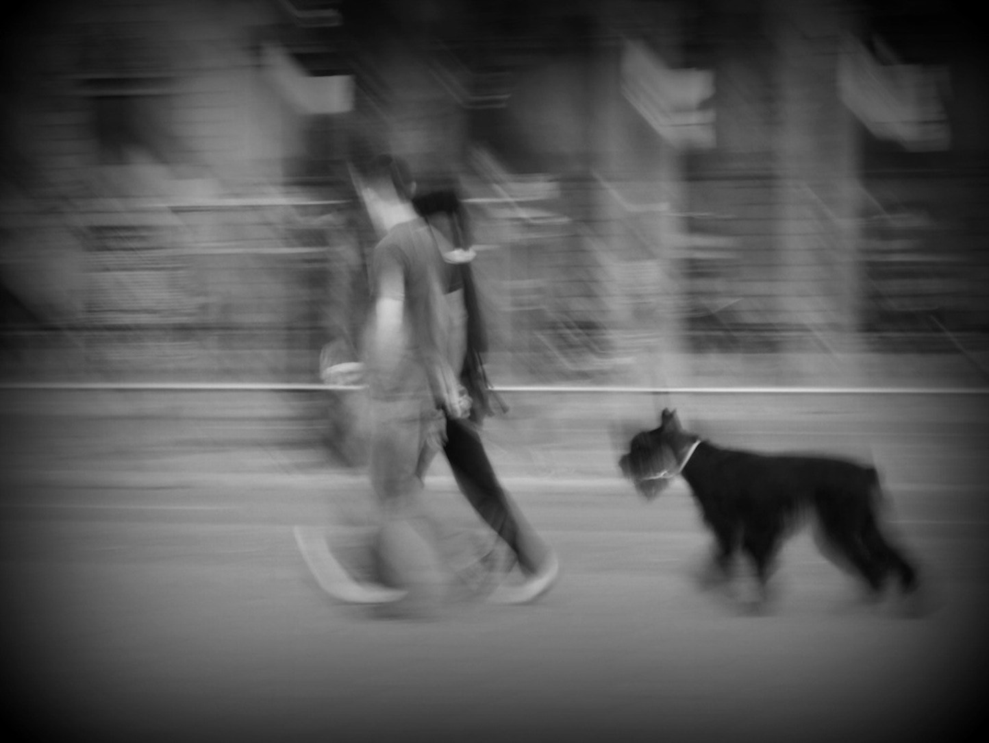 Panasonic Lumix G X Vario 35-100mm F2.8 OIS sample photo. Black dog walking photography