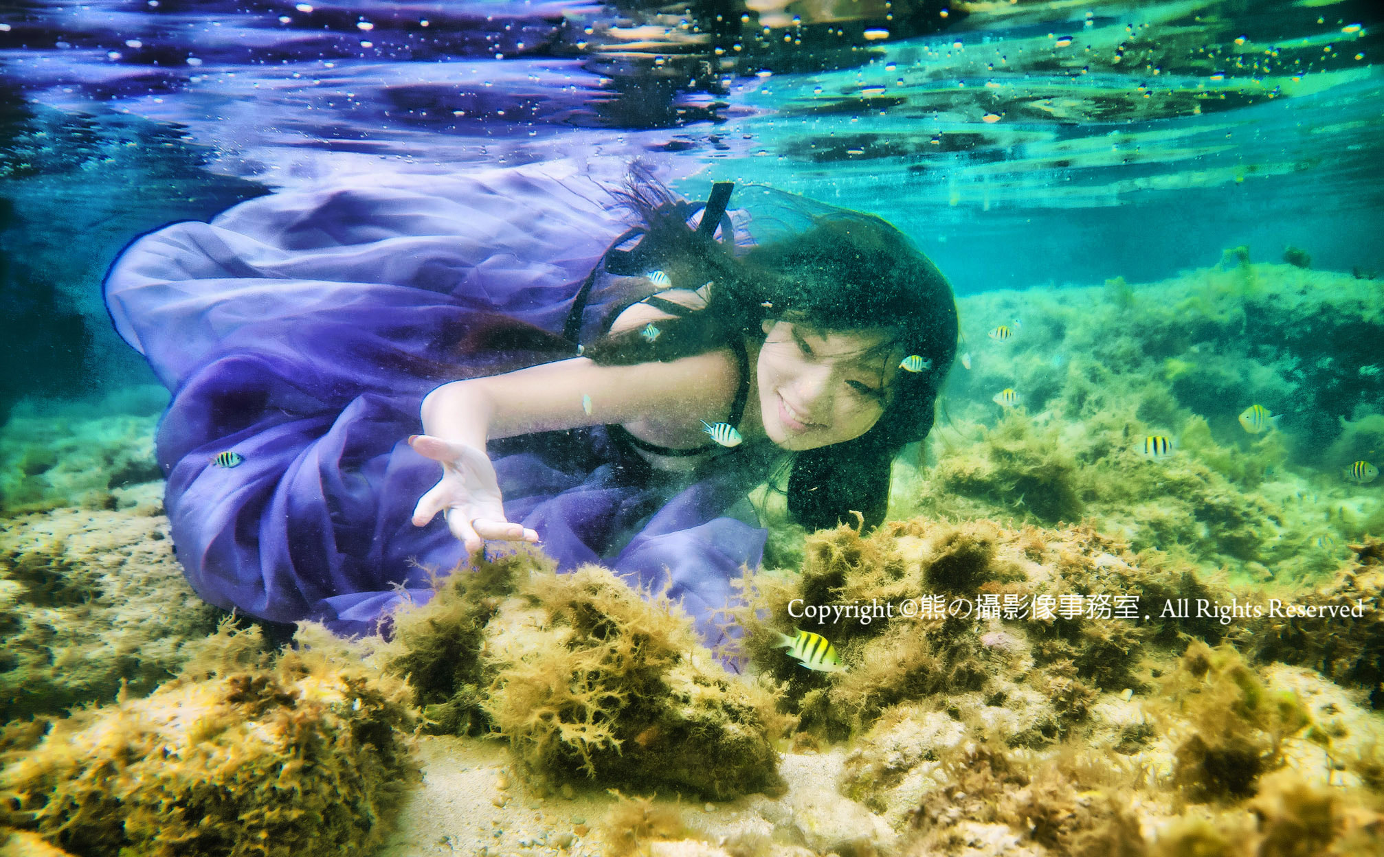 Sigma 17-70mm F2.8-4 DC Macro OS HSM sample photo. Underwater photography photography