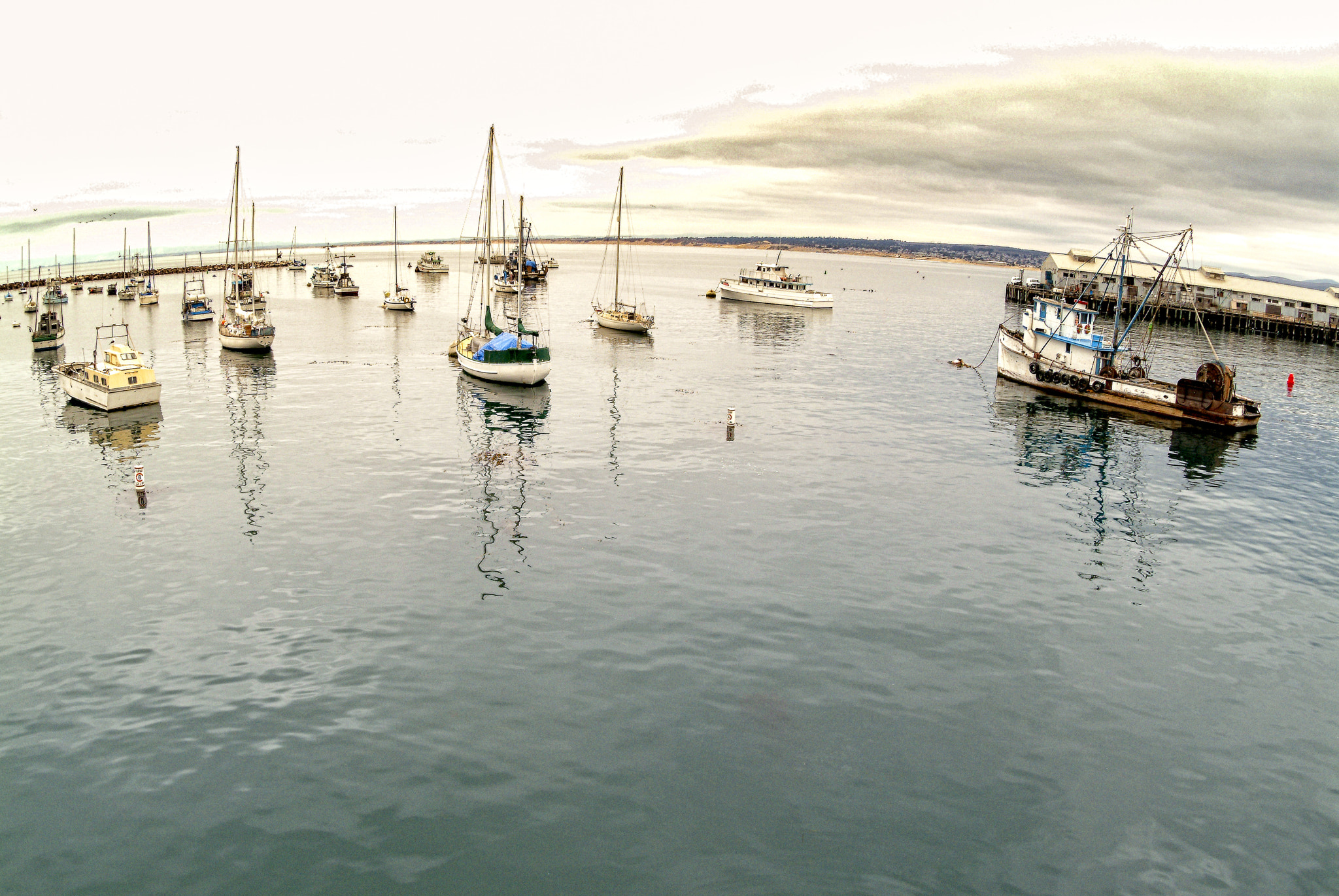 Fujifilm FinePix S2 Pro sample photo. Monterey california photography