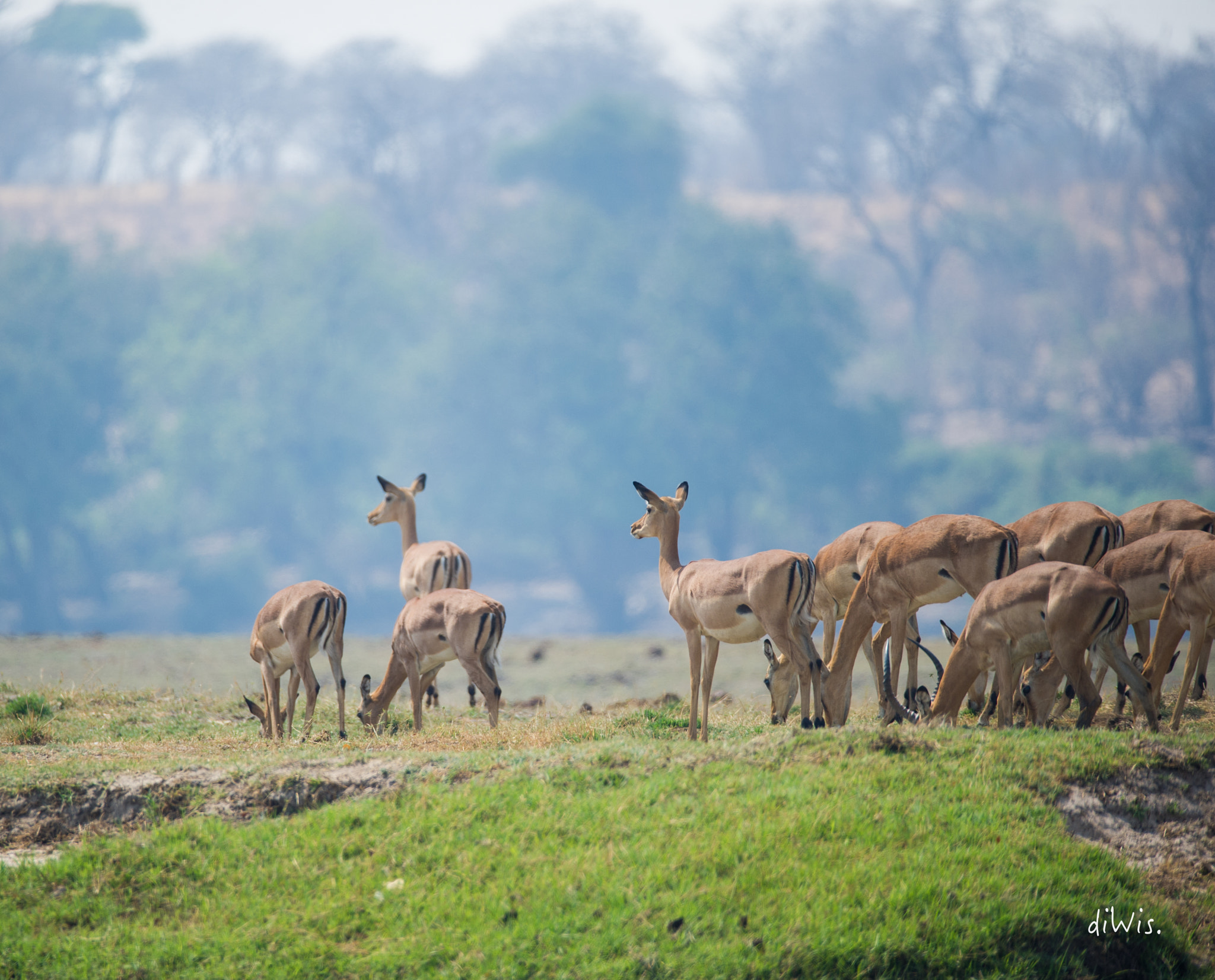 Sigma 150-600mm F5-6.3 DG OS HSM | S sample photo. Carefull photography