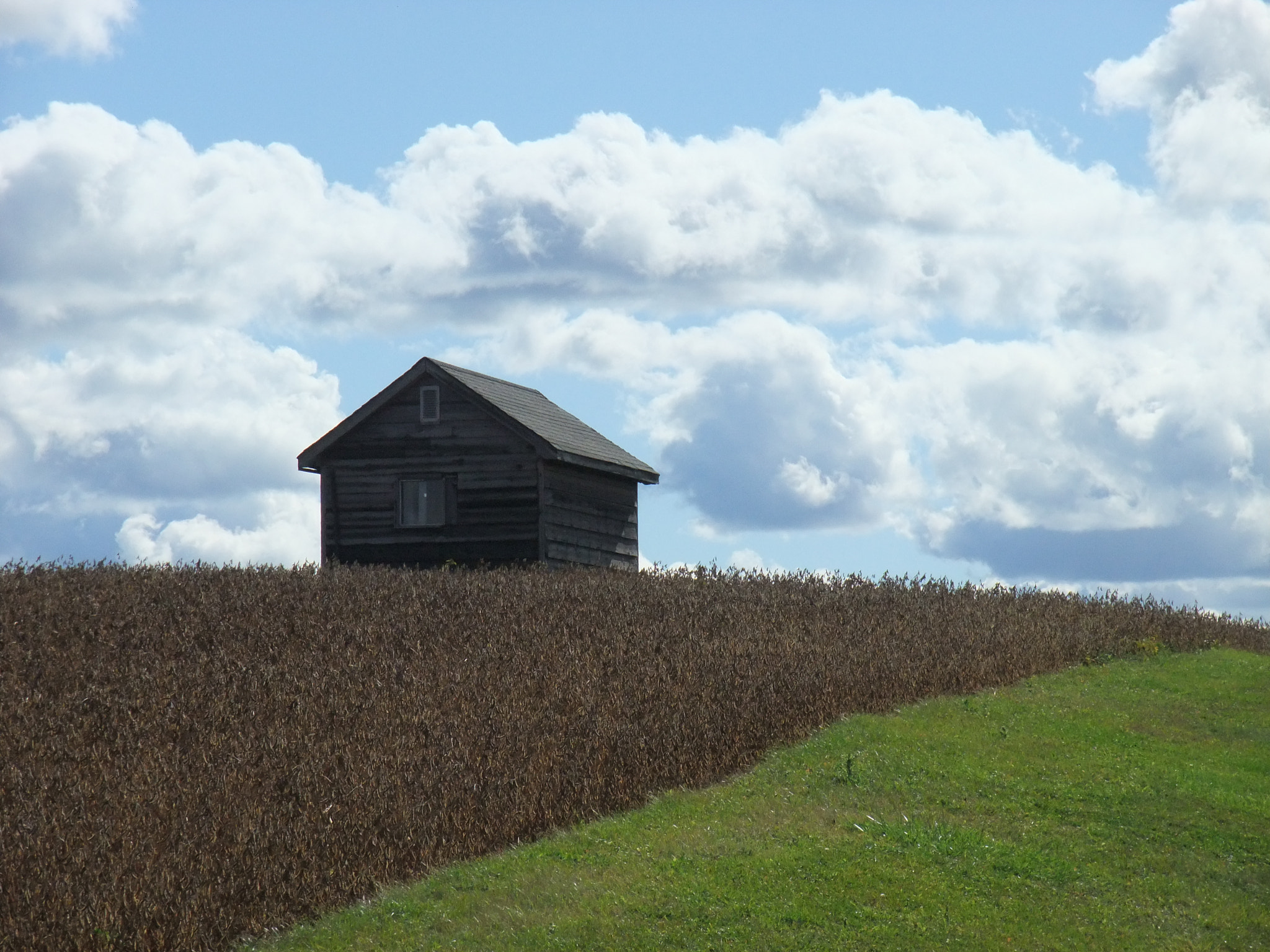 Fujifilm FinePix F200EXR sample photo. Little house photography