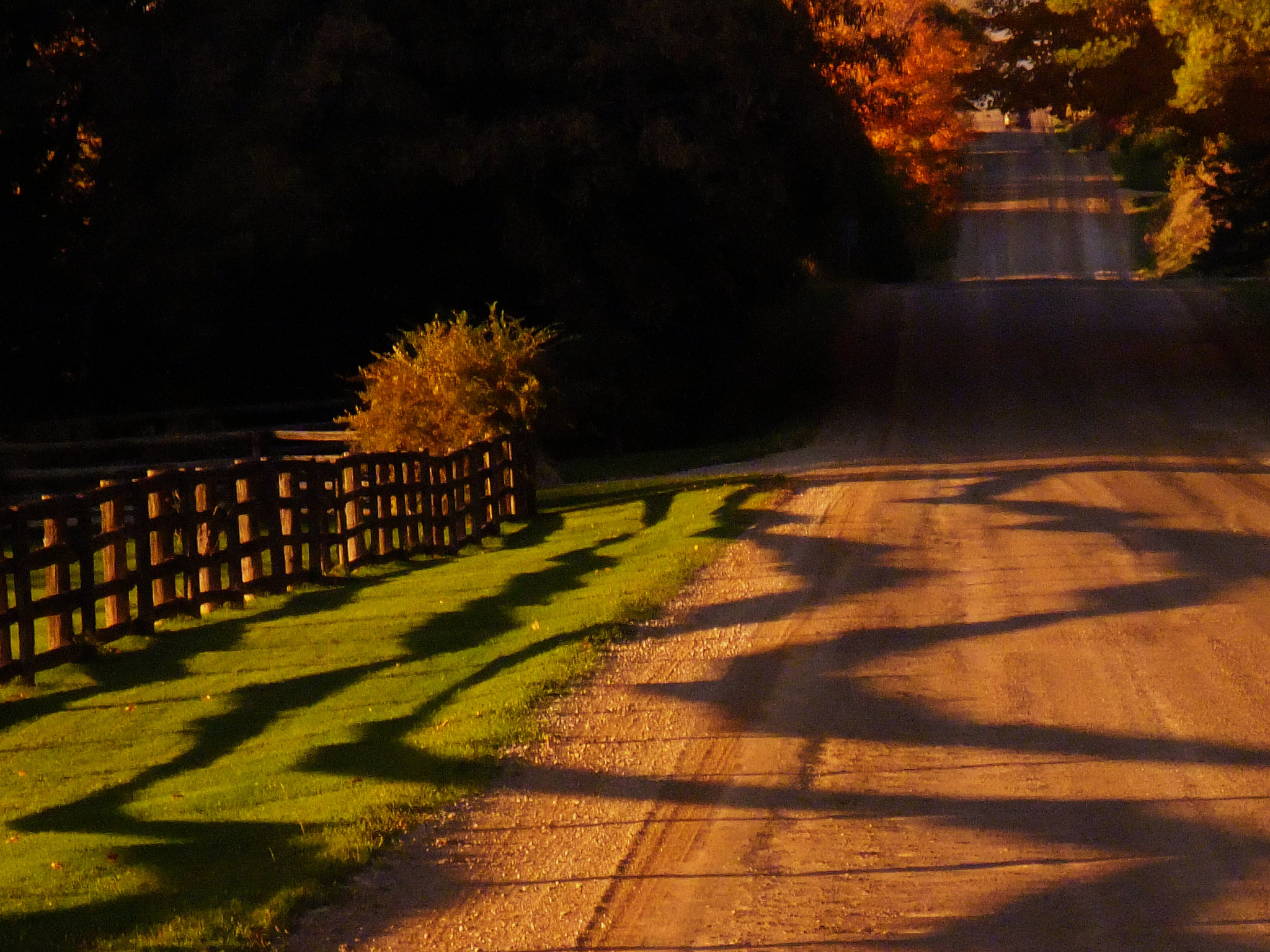 Fujifilm FinePix F200EXR sample photo. A country road photography