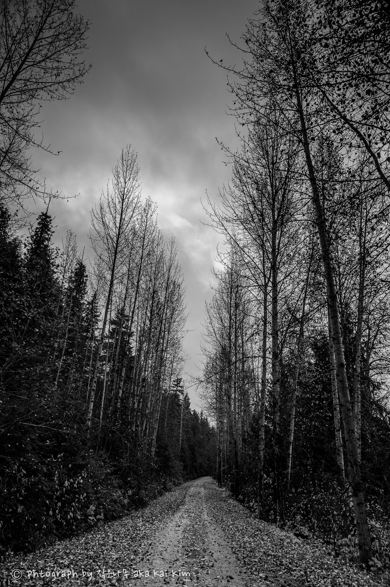 Nikon Df sample photo. On the way to another year end.... photography