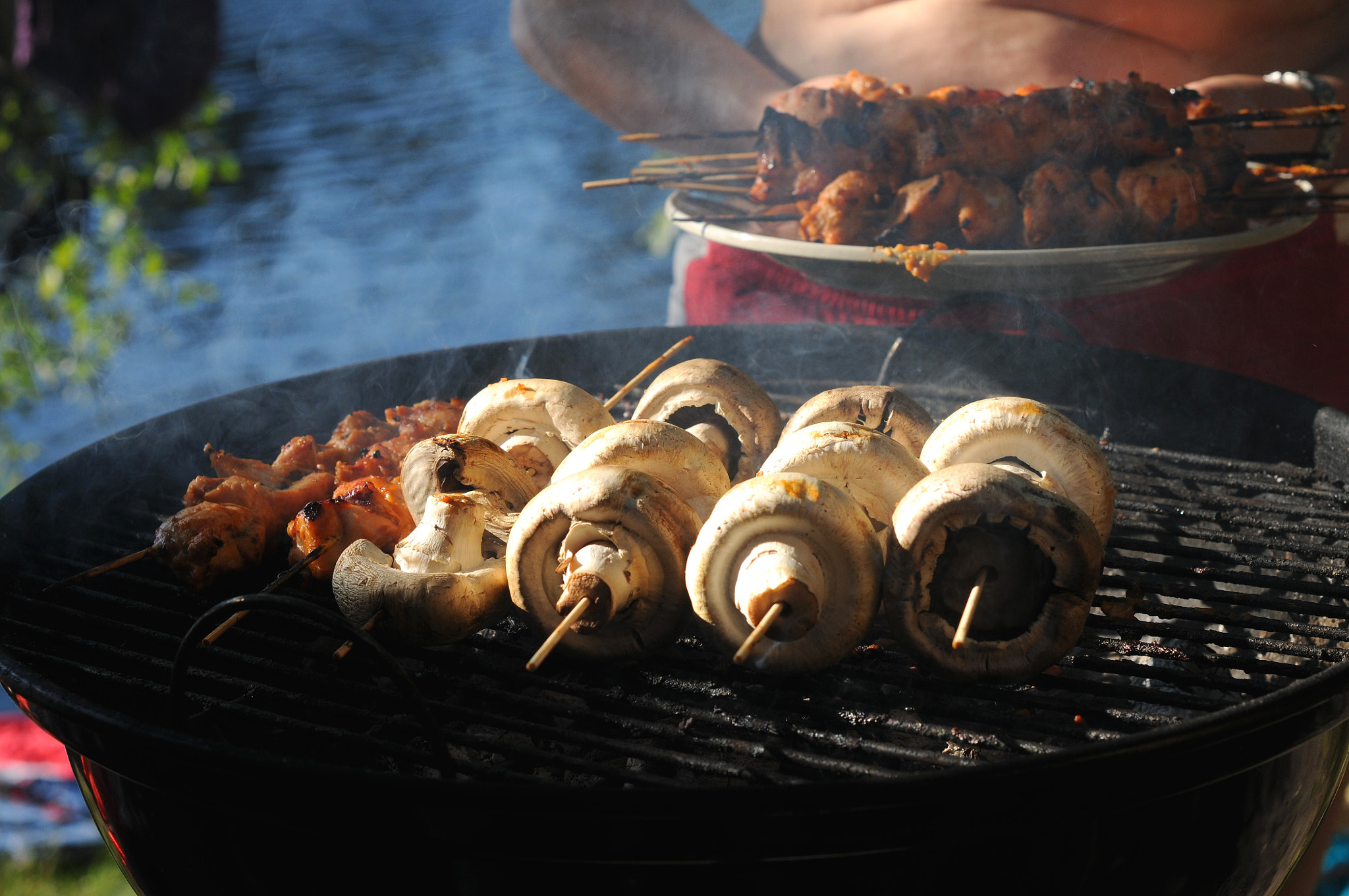 Nikon D300S sample photo. Barbecue photography