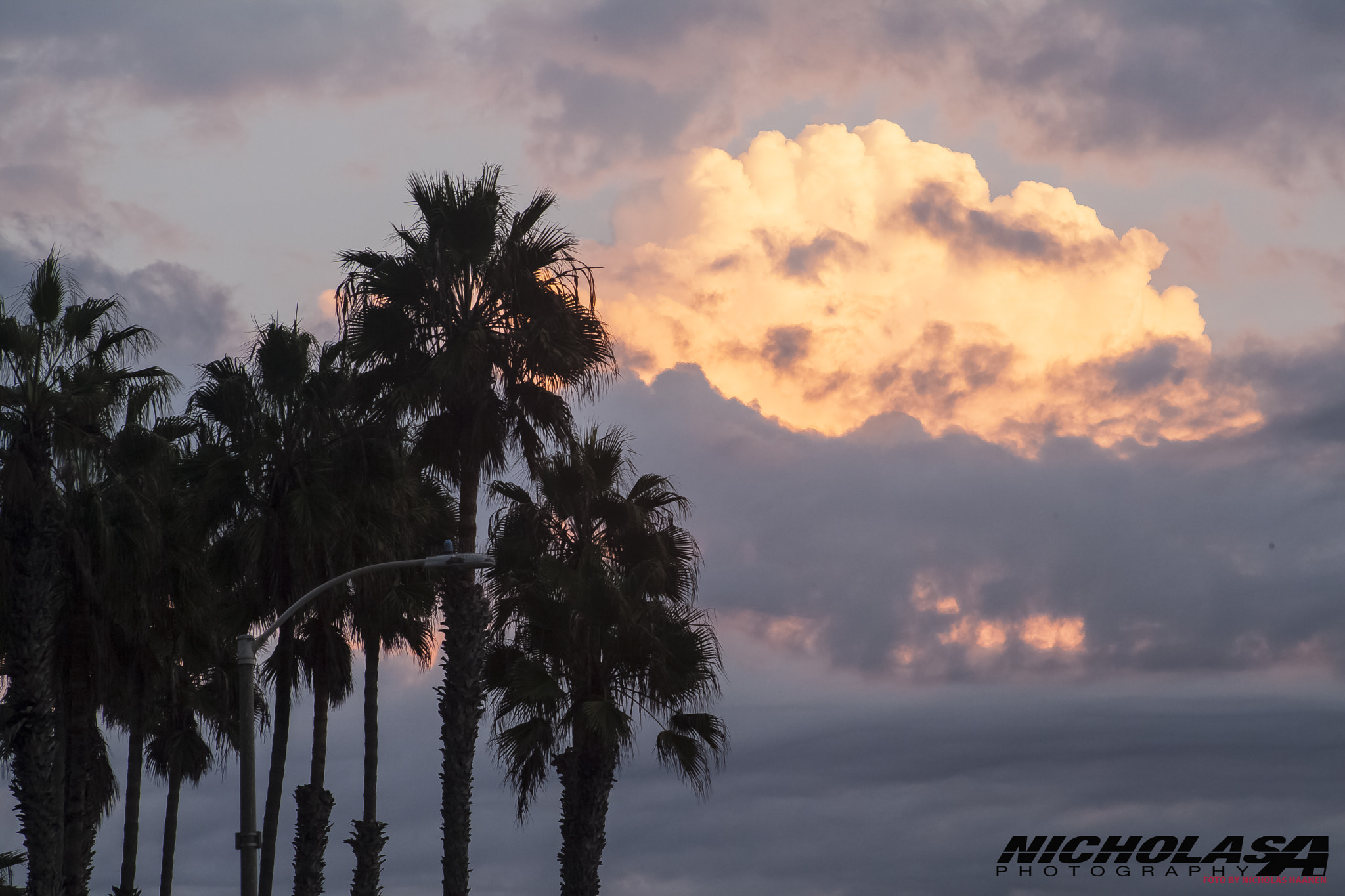 Canon EF 75-300mm f/4-5.6 USM sample photo. W photography