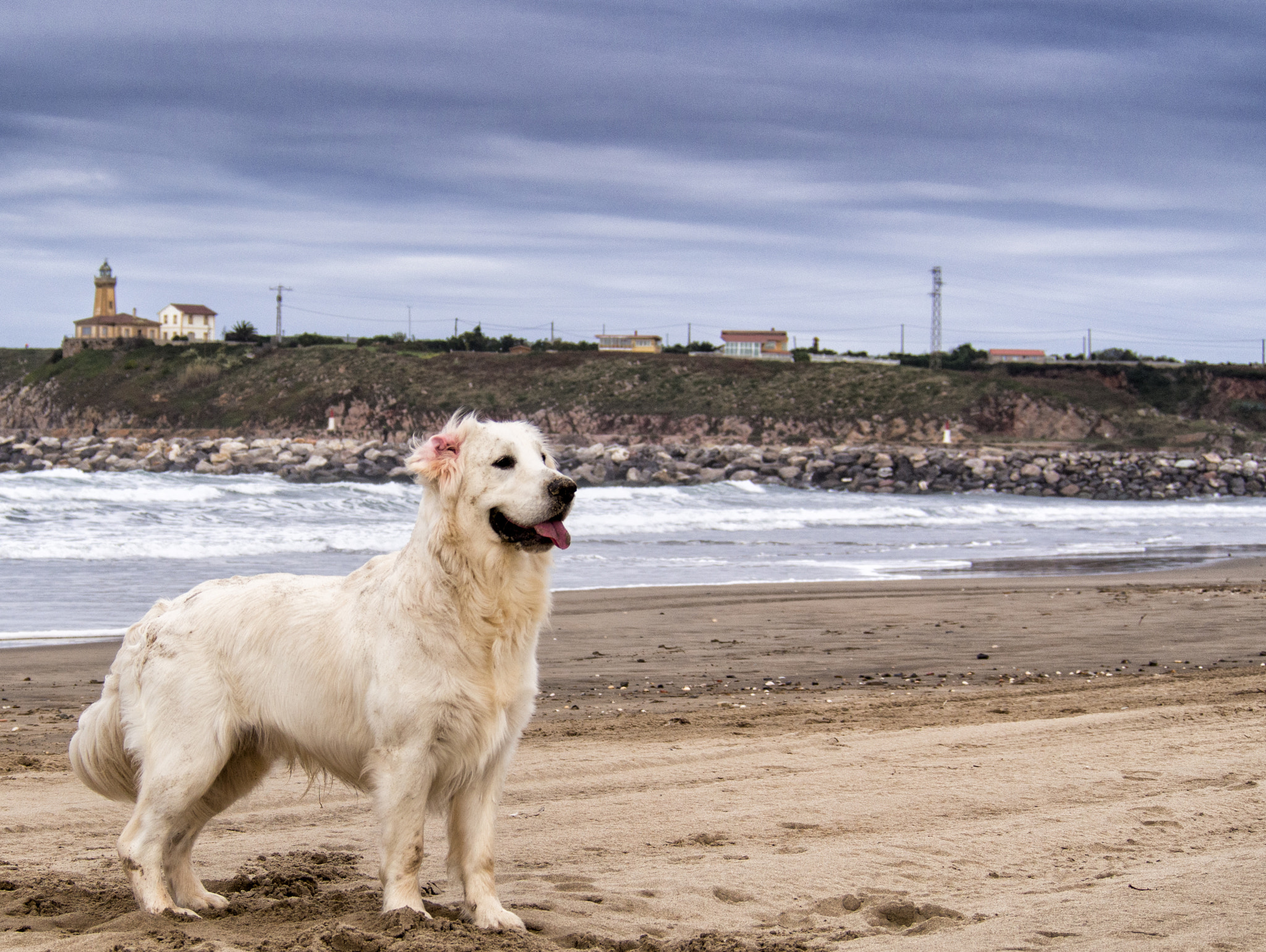 Olympus PEN E-PL5 sample photo. ¿quien entra en mi playa? photography