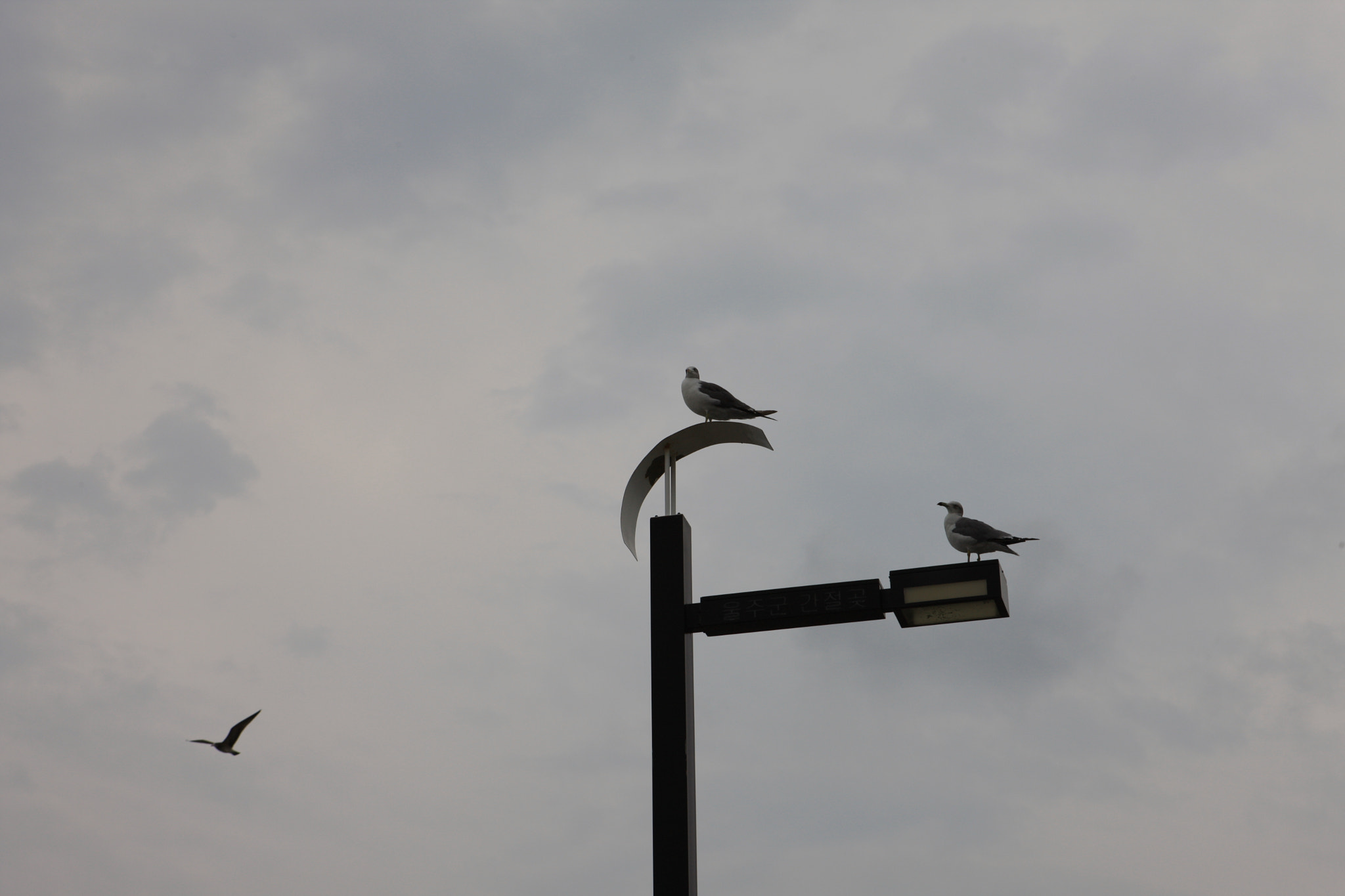 Canon EOS-1Ds Mark III sample photo. Resting a moment photography