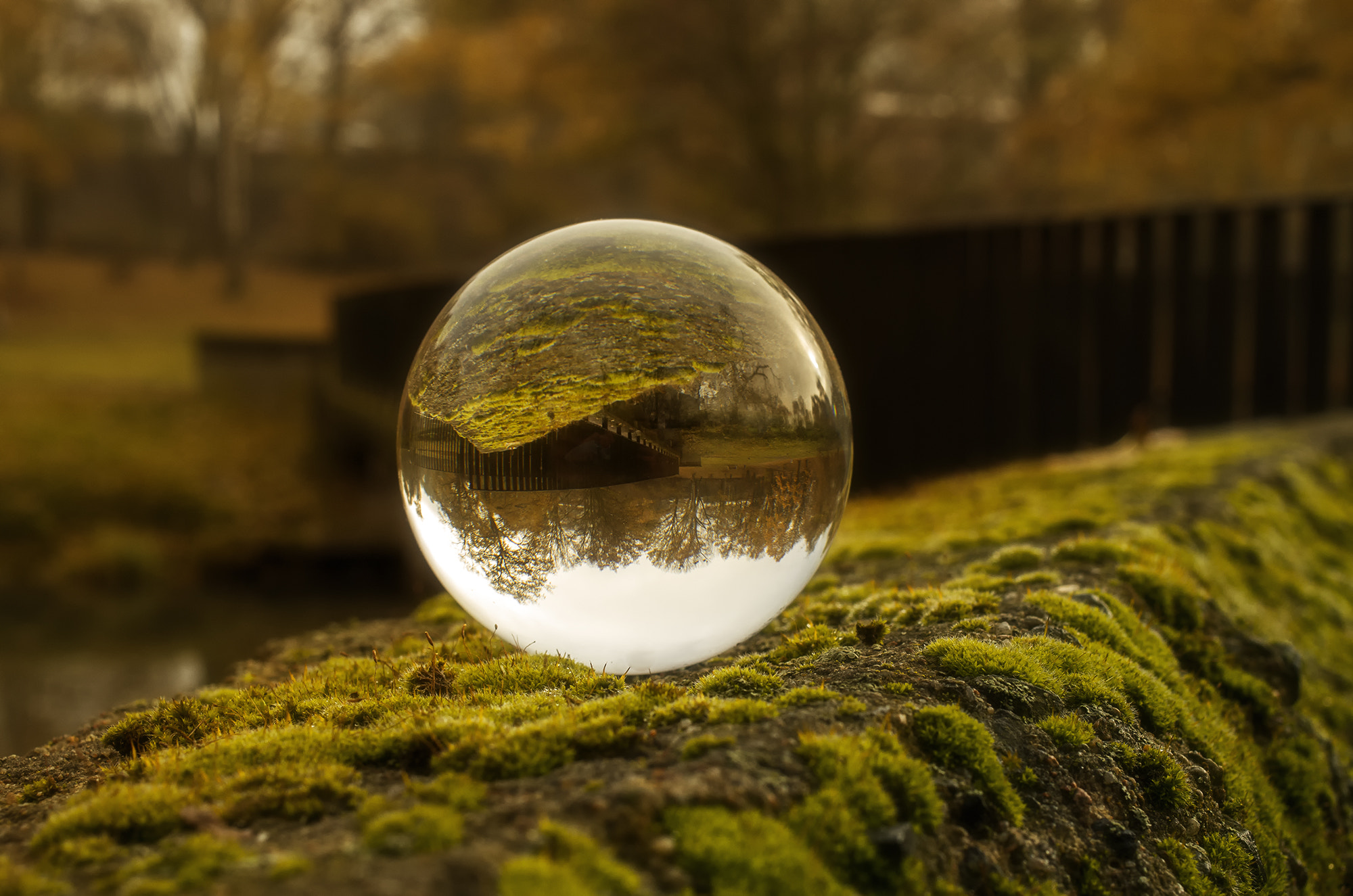 Pentax K-50 sample photo. Crystal ball photography