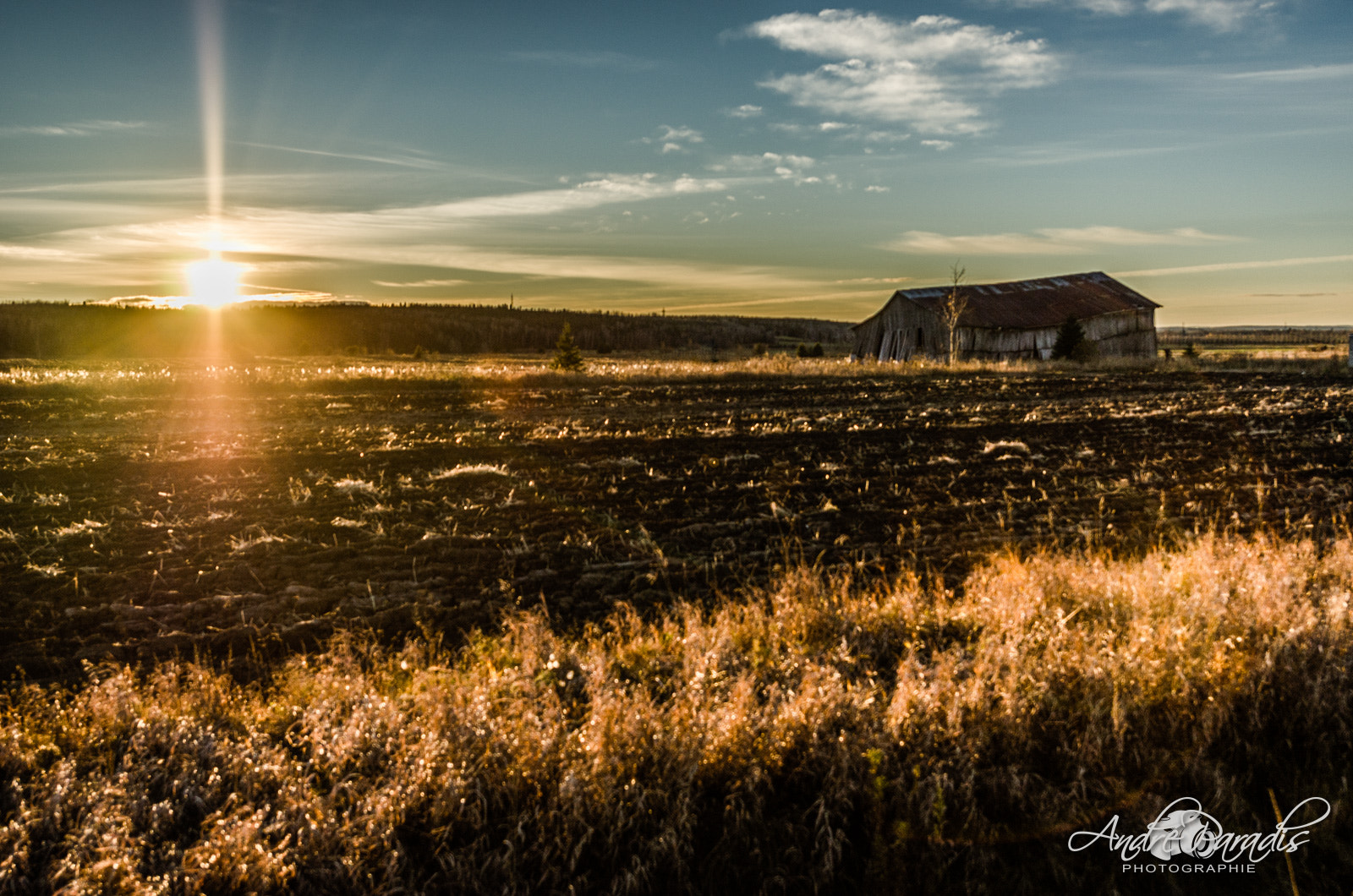 Nikon AF-S Nikkor 14-24mm F2.8G ED sample photo. Grange automnale photography