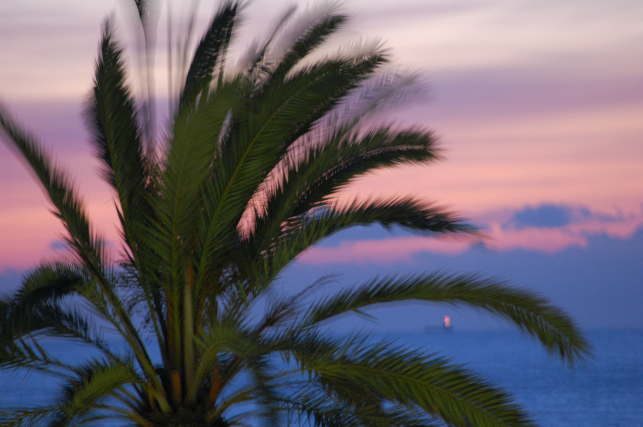 Nikon D40 sample photo. Dolce vita photography