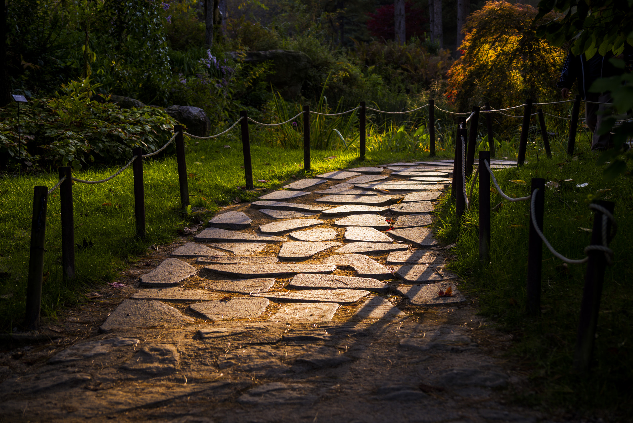 Nikon D610 sample photo. Nami island photography