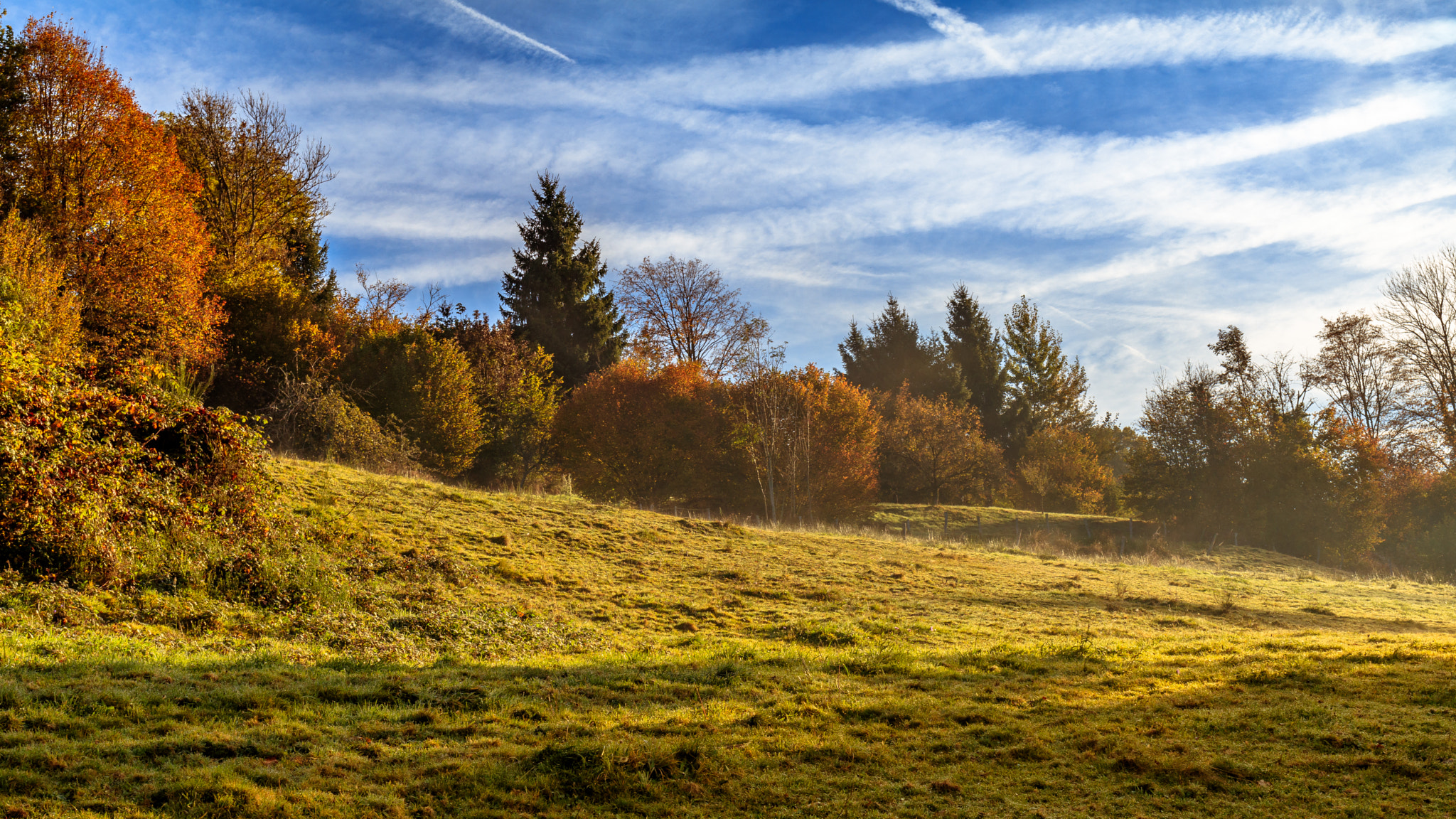 Canon EOS 80D + Canon EF 35mm F2 IS USM sample photo. Rising sun in the grassland photography