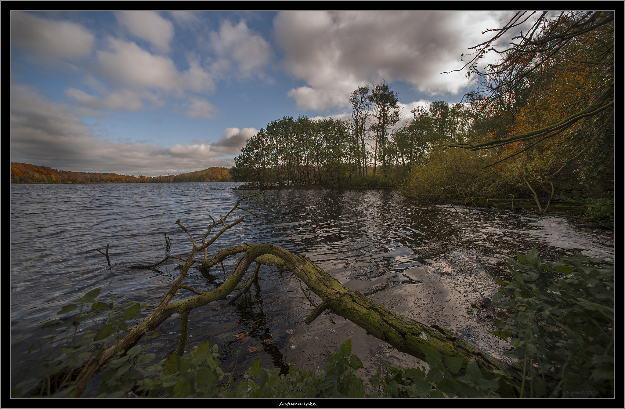 Nikon D3 sample photo. Autumn lake photography