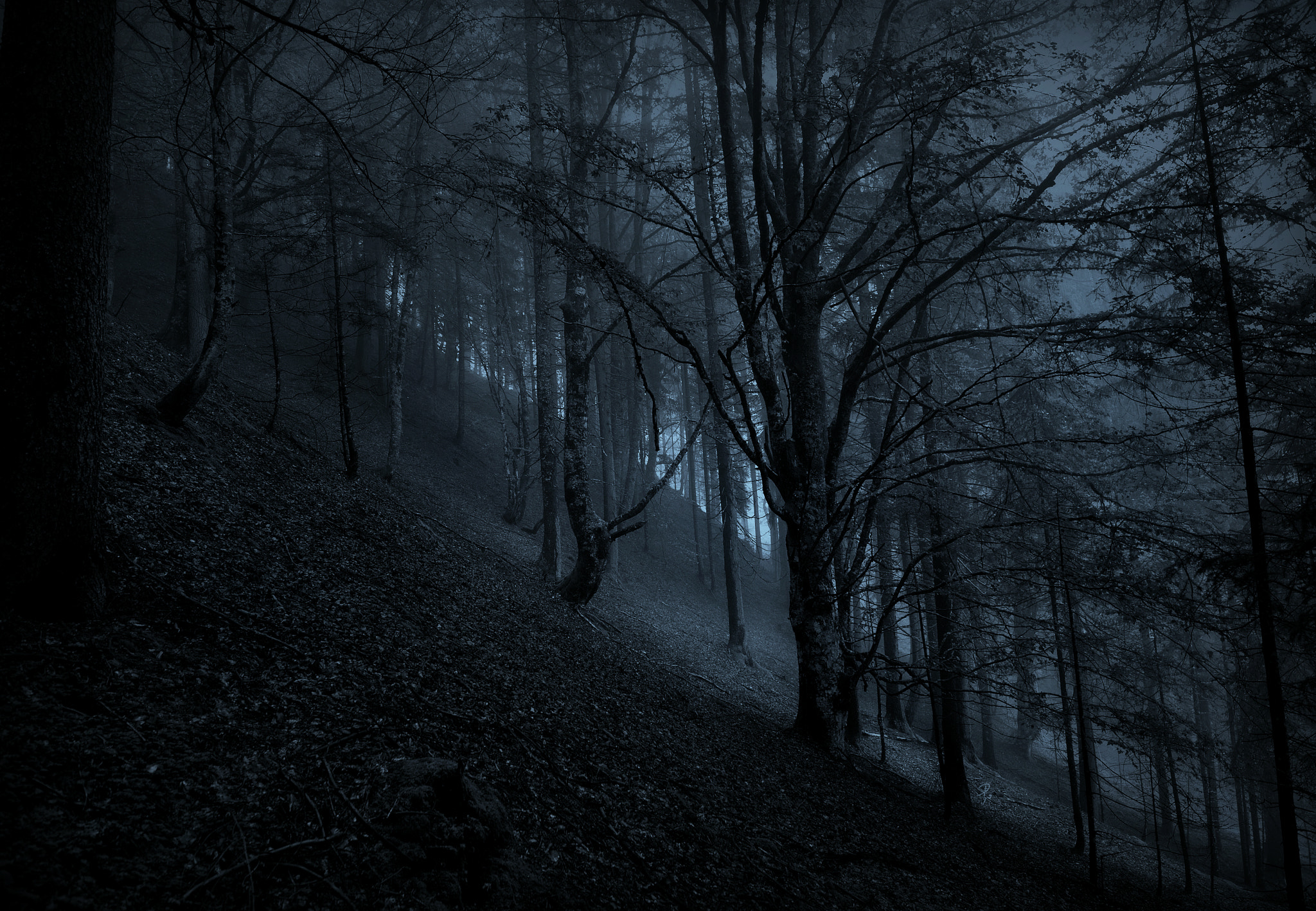 Nikon AF-S Nikkor 14-24mm F2.8G ED sample photo. Through moonlit realms of spirits old photography