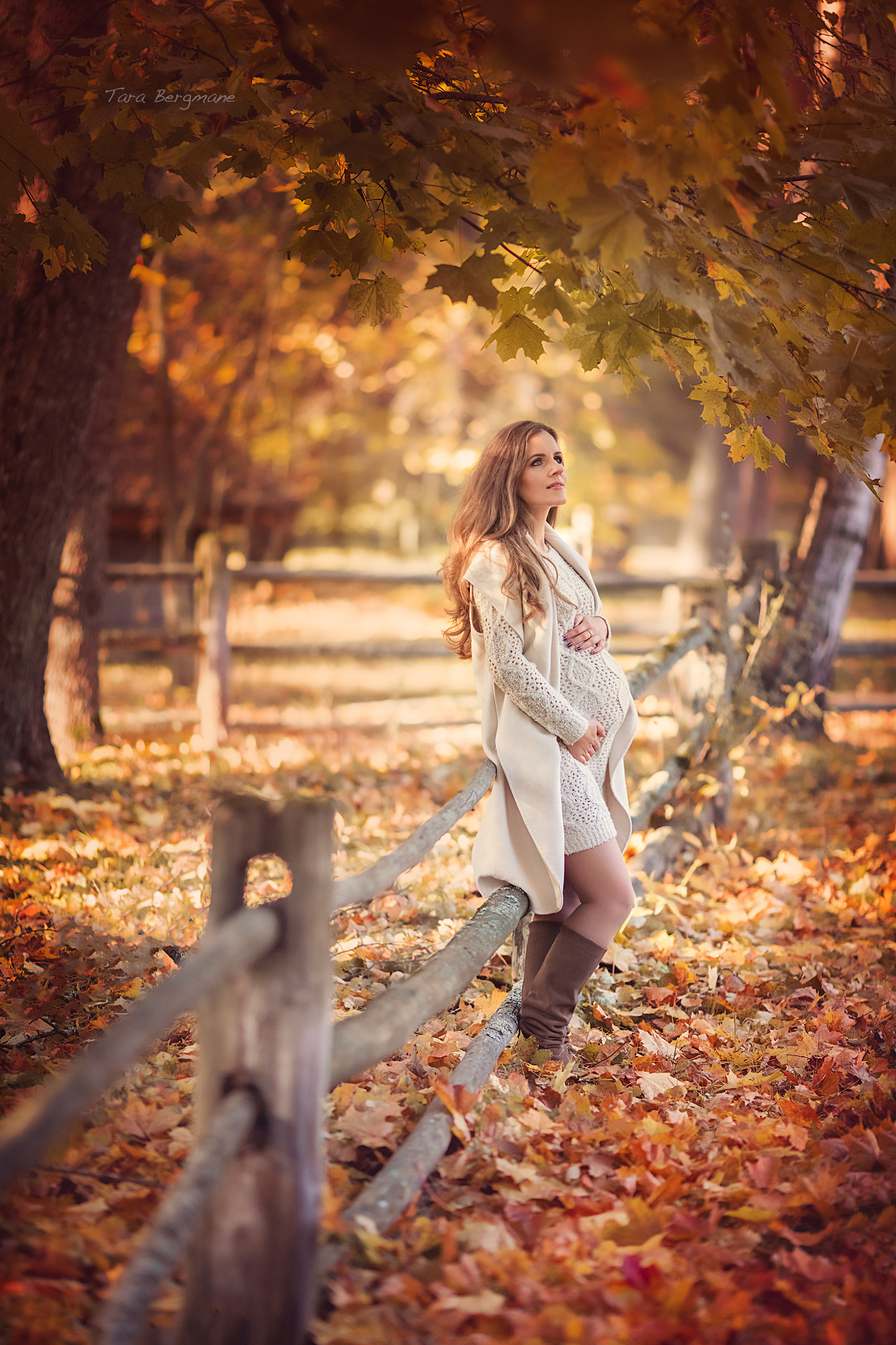 Canon EOS 5DS + Canon EF 135mm F2L USM sample photo. Autumn photography