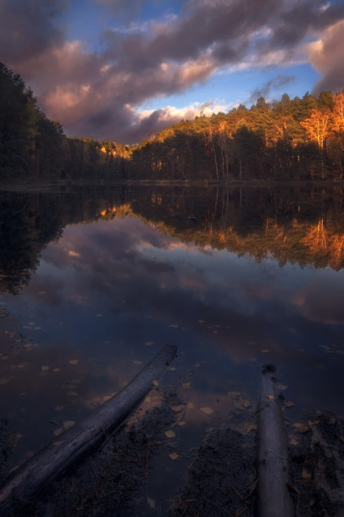 Pentax K-3 sample photo. Forest reflection photography