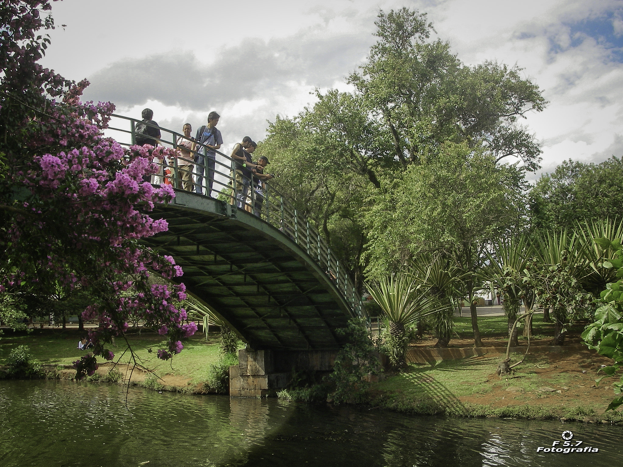 Pentax OPTIO W10 sample photo. Bridge - ibirapuera park - são paulo - brasil photography