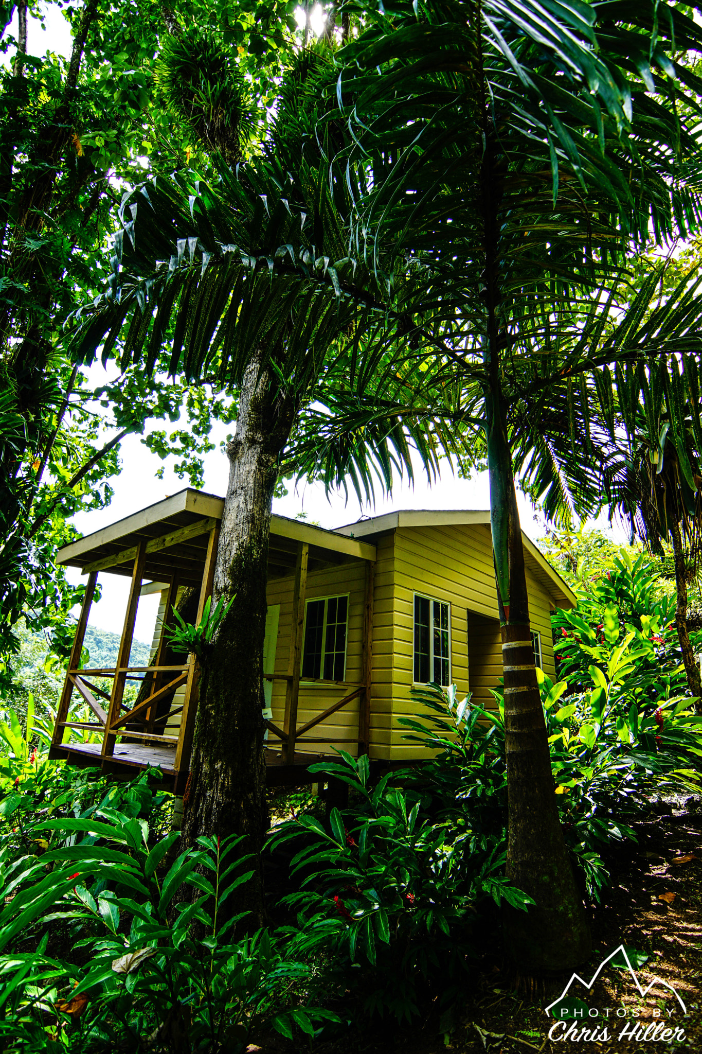 Sony ILCA-77M2 sample photo. Bungalow in paradise photography