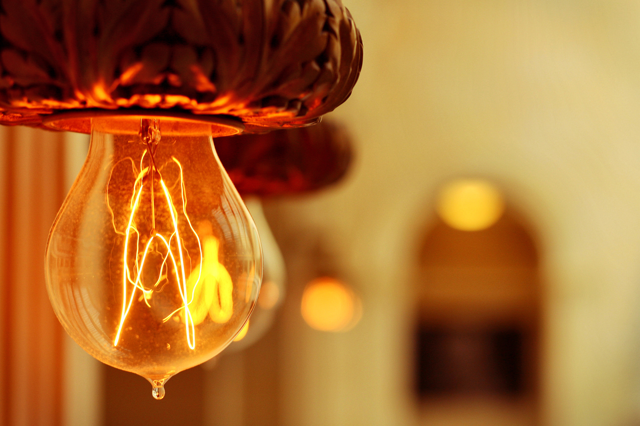 Canon EOS 100D (EOS Rebel SL1 / EOS Kiss X7) sample photo. "..and it giveth light unto all.." photography